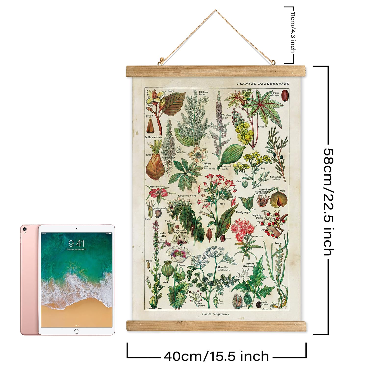 Xiaoaika 2 Pack Vintage Plant Posters: Medicinal And Poisonous Plants - Retro Style Wall Art With Wooden Frames For Home Classro