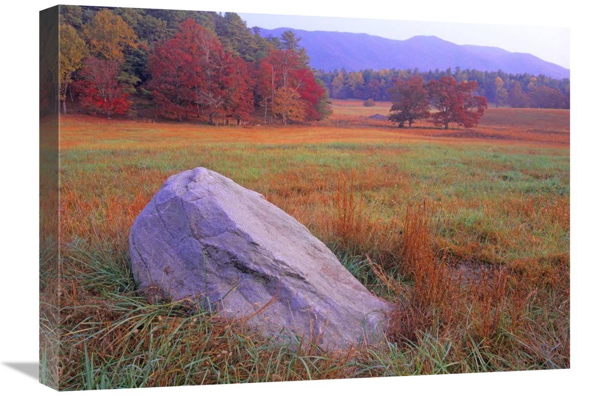 Global Gallery Boulder and Autumn Colored deciduous Forest, Cades Cove, Great Smoky Mountains National Park, Tennessee-Canvas Ar