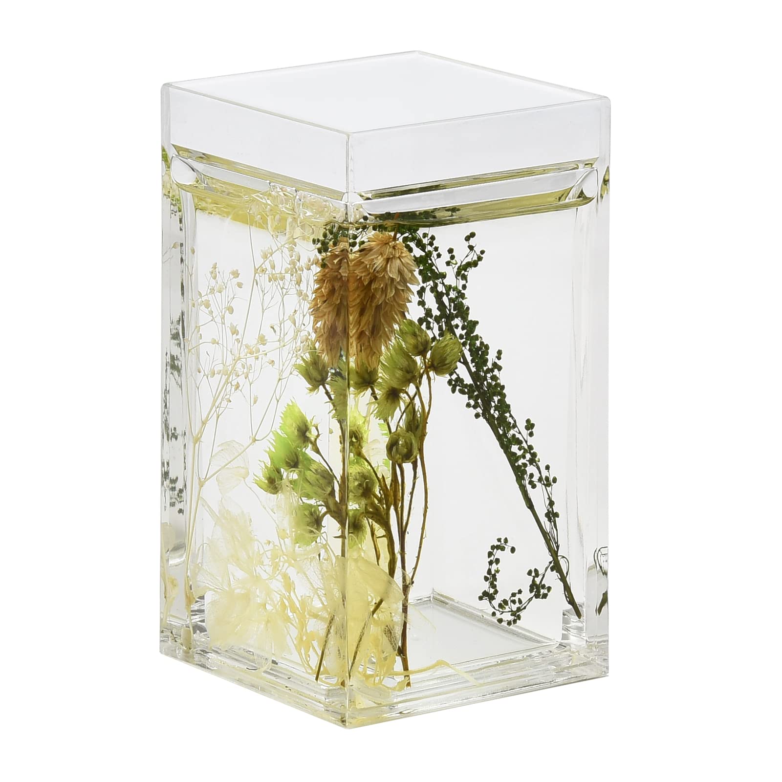 Locco Decor 4 Piece Acrylic Liquid 3D Floating Motion Bathroom Vanity Accessory Set Green Plants