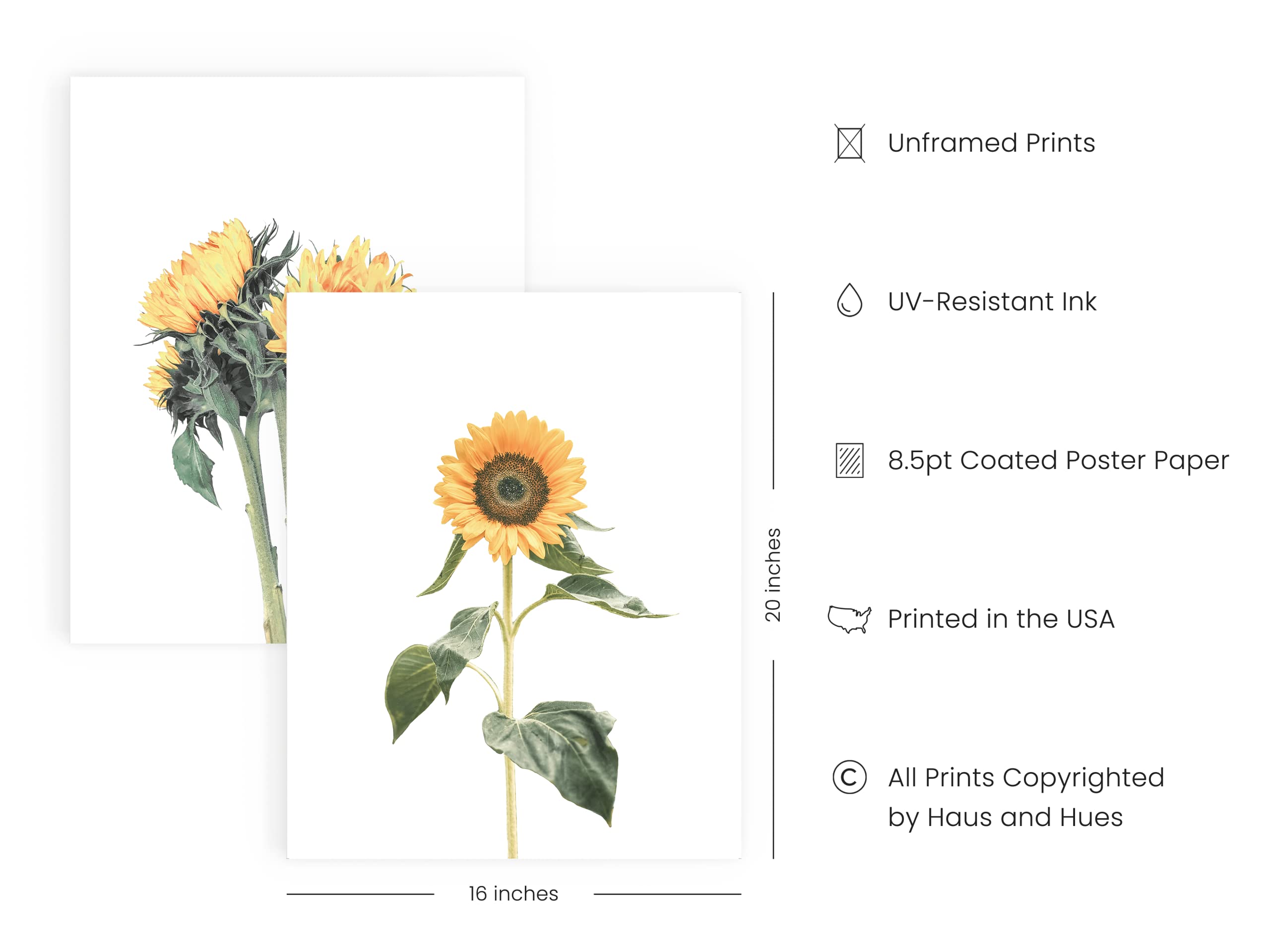 HAUS AND HUES Sunflower Wall Decor and Sunflower Posters - Set of 4 Sunflower Bedroom Decor Sunflower Paintings for Wall  Yellow Wall Art Kitchen Decor  Sunflower Decor (16x20  Unframed)