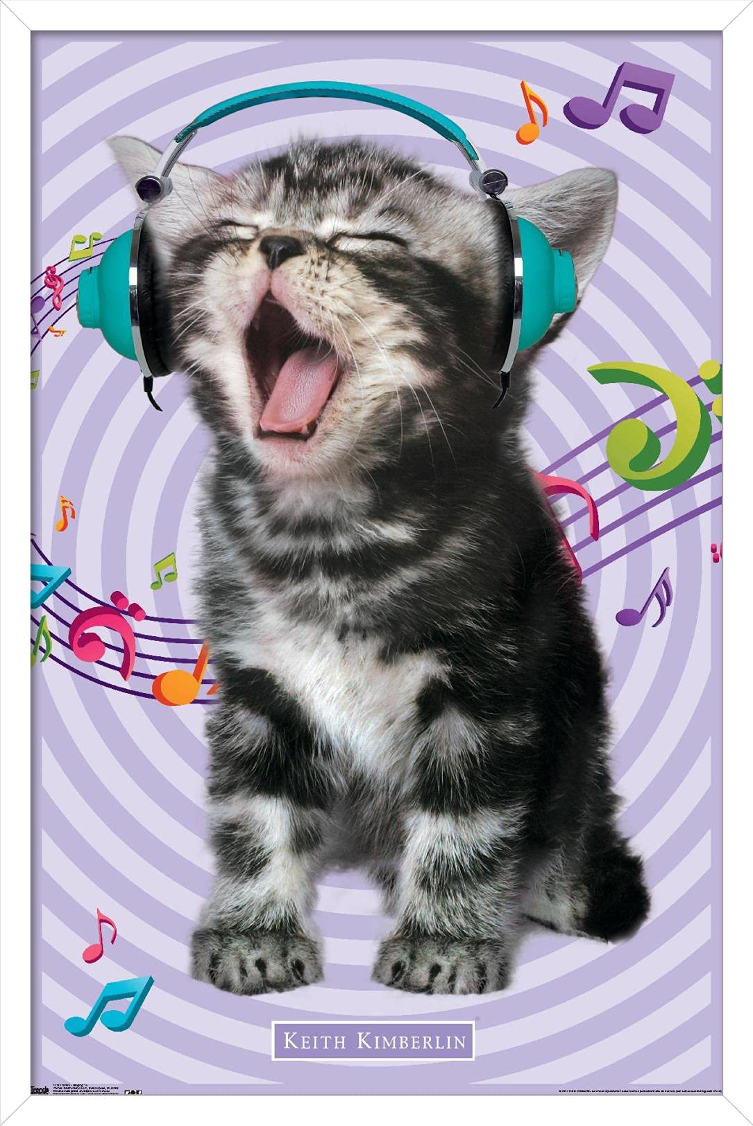 Trends International Keith Kimberlin - Kitten - Singing Wall Poster, 22.375'' X 34'', White Framed Version