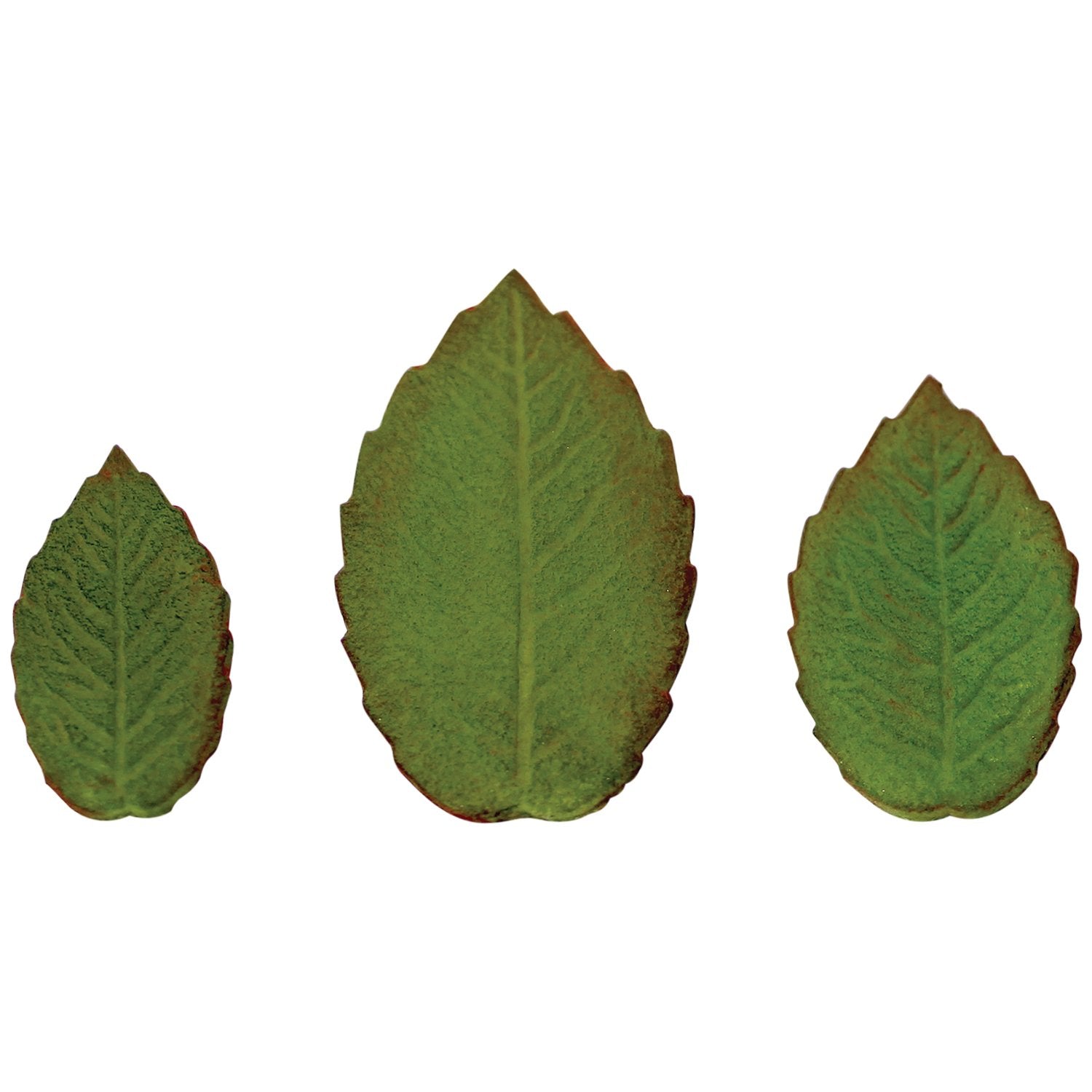 Pme Plunger Cutters, Veined Rose Leaf