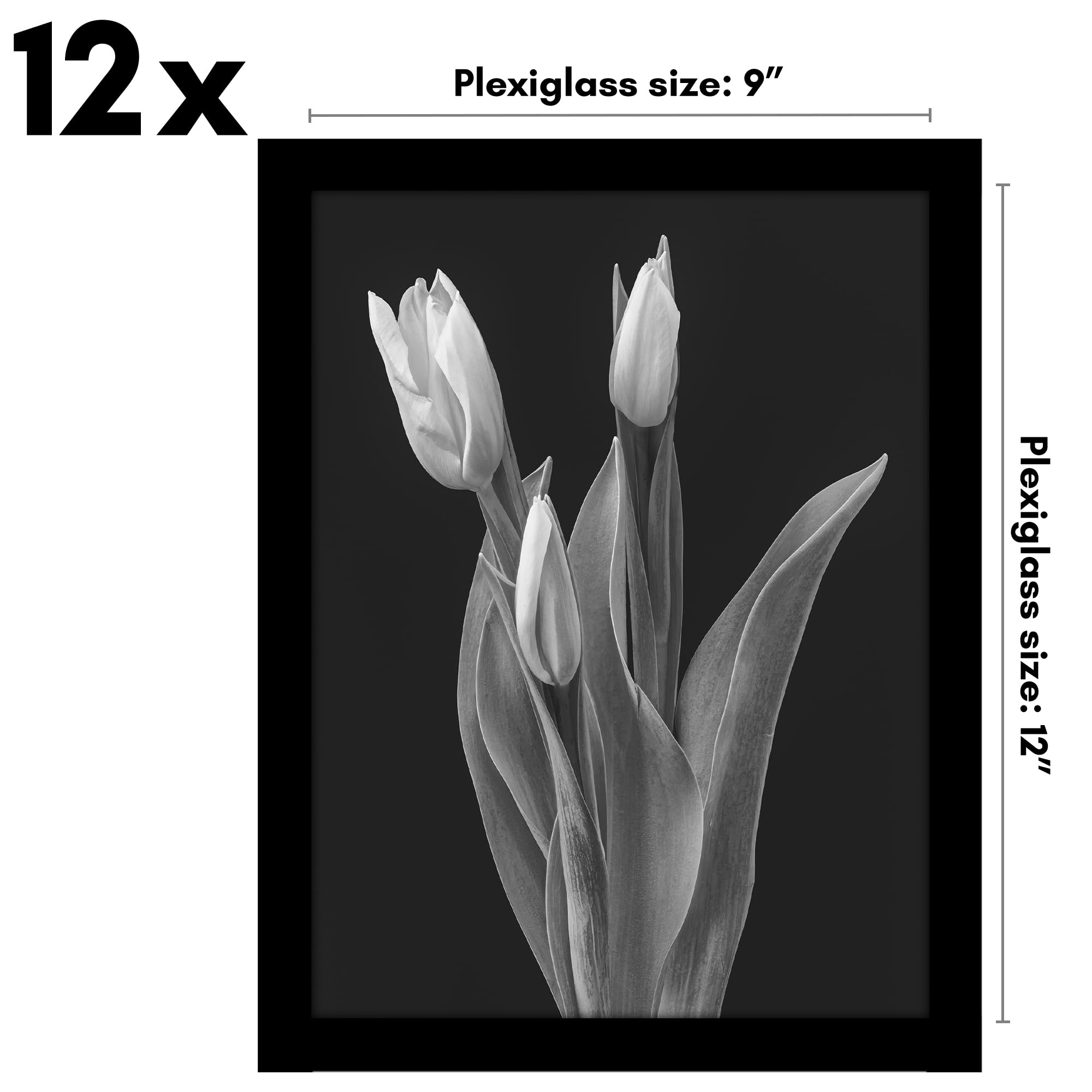 Americanflat 9x12 Picture Frame with Polished Plexiglass - Set of 12 - Signature Collection - Picture Frames with Engineered Woo