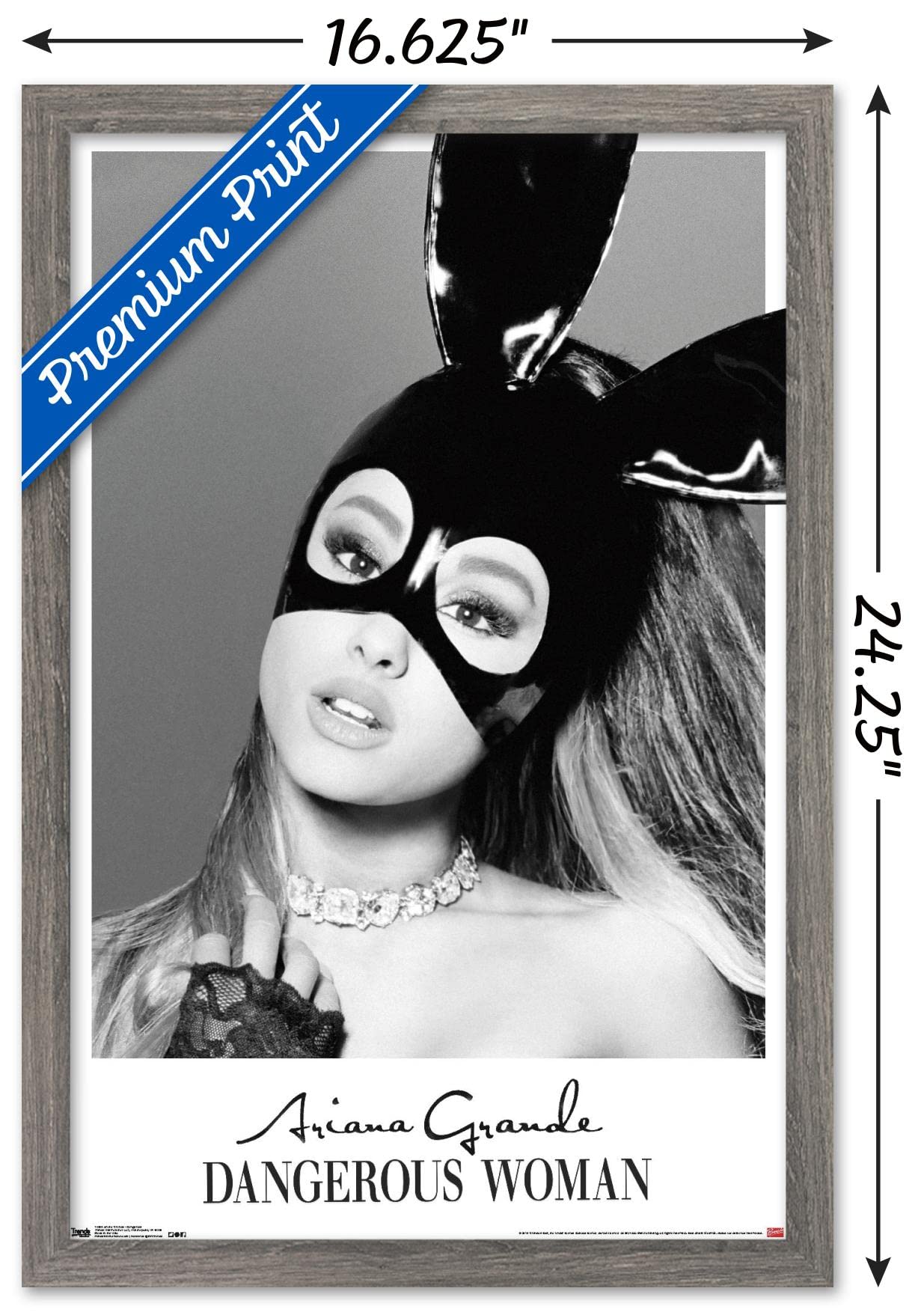 Trends International Ariana Grande - Dangerous Wall Poster, 14.725'' X 22.375'', Barnwood Framed Version