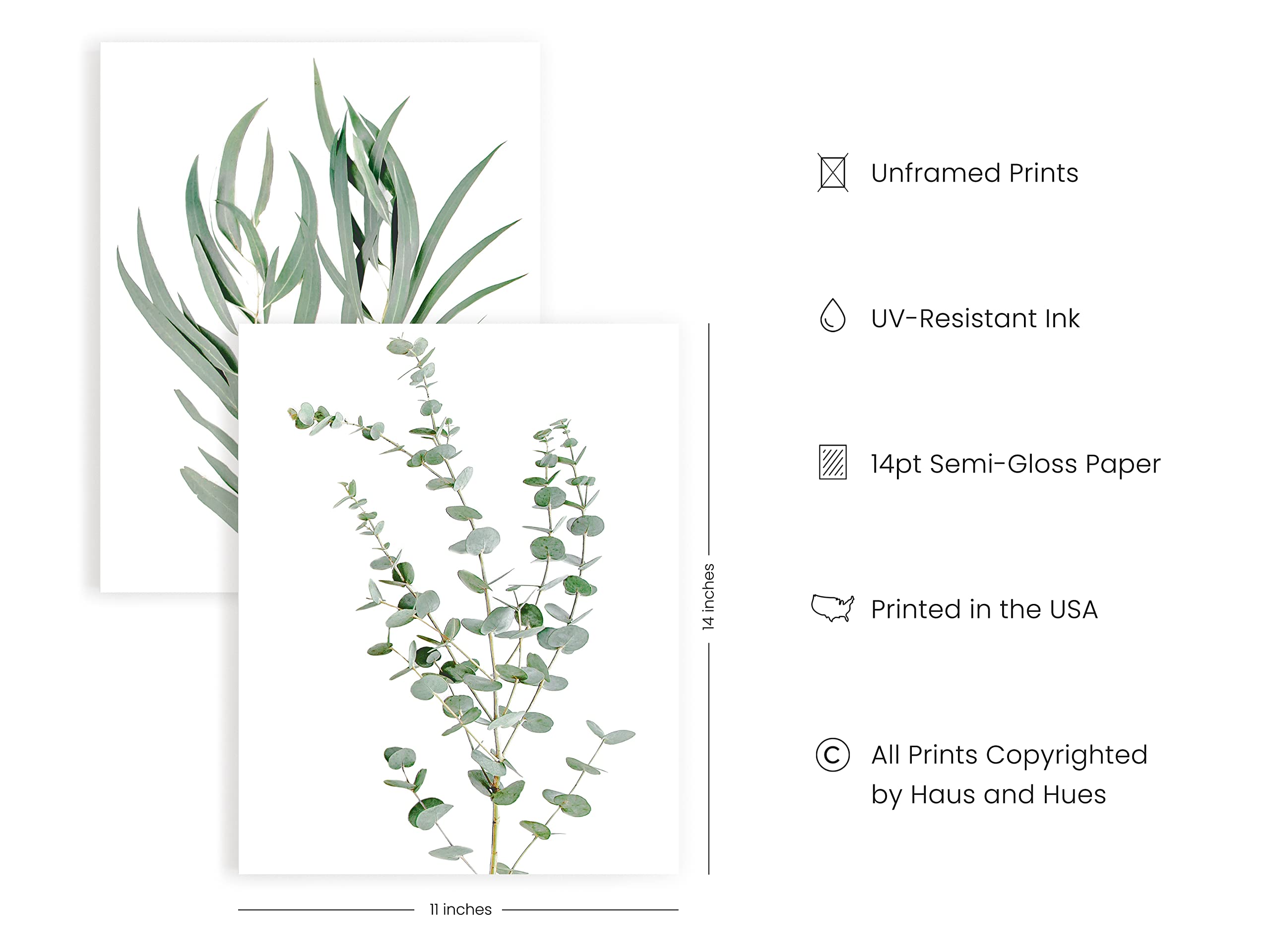 HAUS AND HUES Botanical Plant Wall Art Prints - Set of 4 Plant Wall Decor Prints Floral Kitchen Flower Leaves Wall Art Boho Leaf Eucalyptus (11x14  UNFRAMED)
