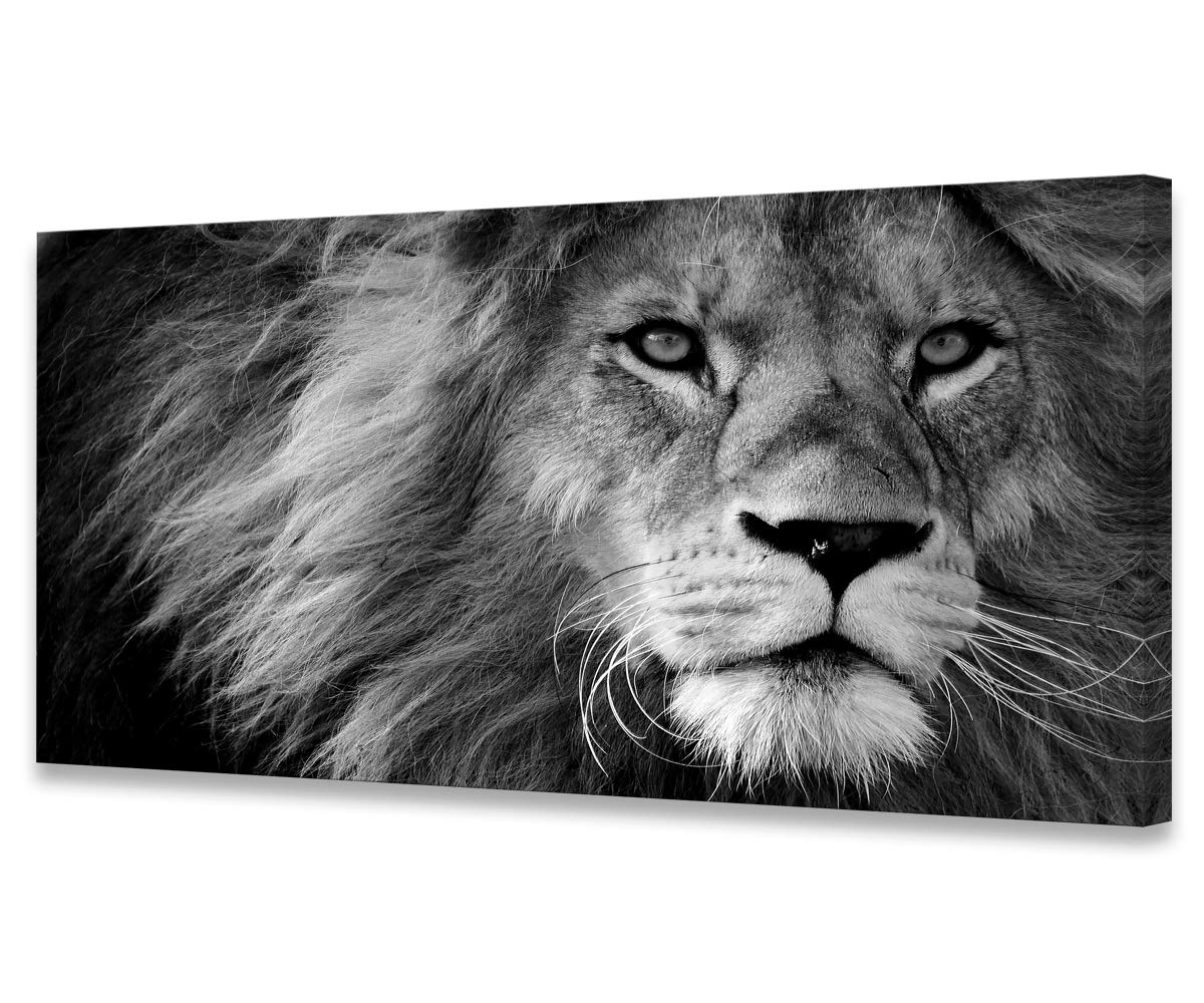 Modern Giclee Canvas Prints Stretched Artwork Black And White Lion Pictures To Photo Paintings On Canvas Wall Art For Home Offic