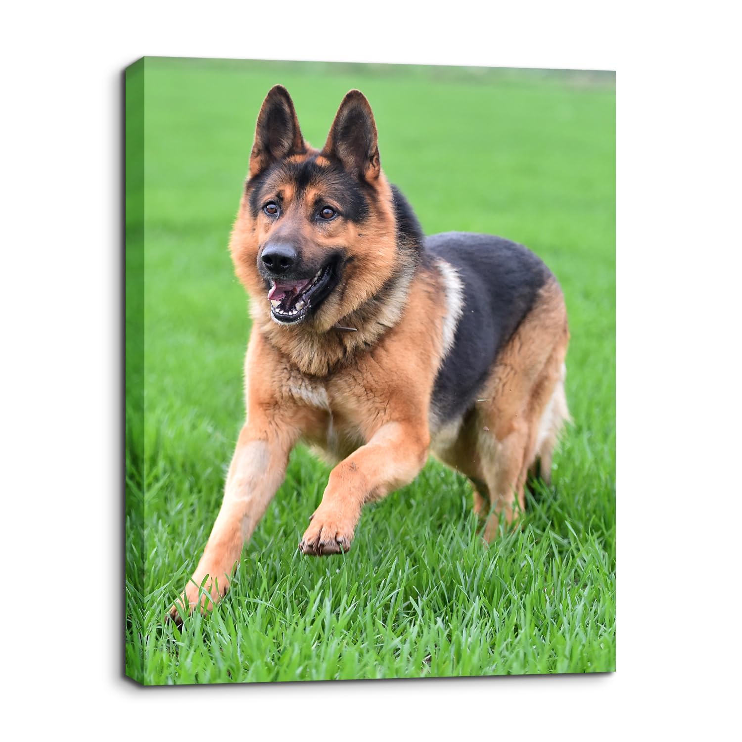 Personalized Custom Canvas Photo Prints - Canvas Prints With Your Photos Pictures On Canvas Wall Art For Home Decor, Bedroom, Li