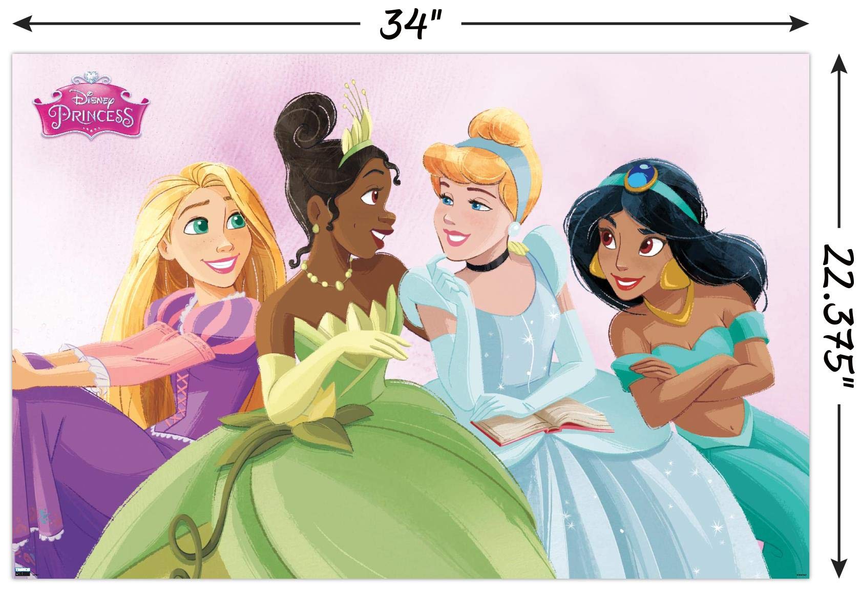 Trends International Disney Princess Celebration Poster & Mount Bundle, 22.375" x 34", Model EB20064PM