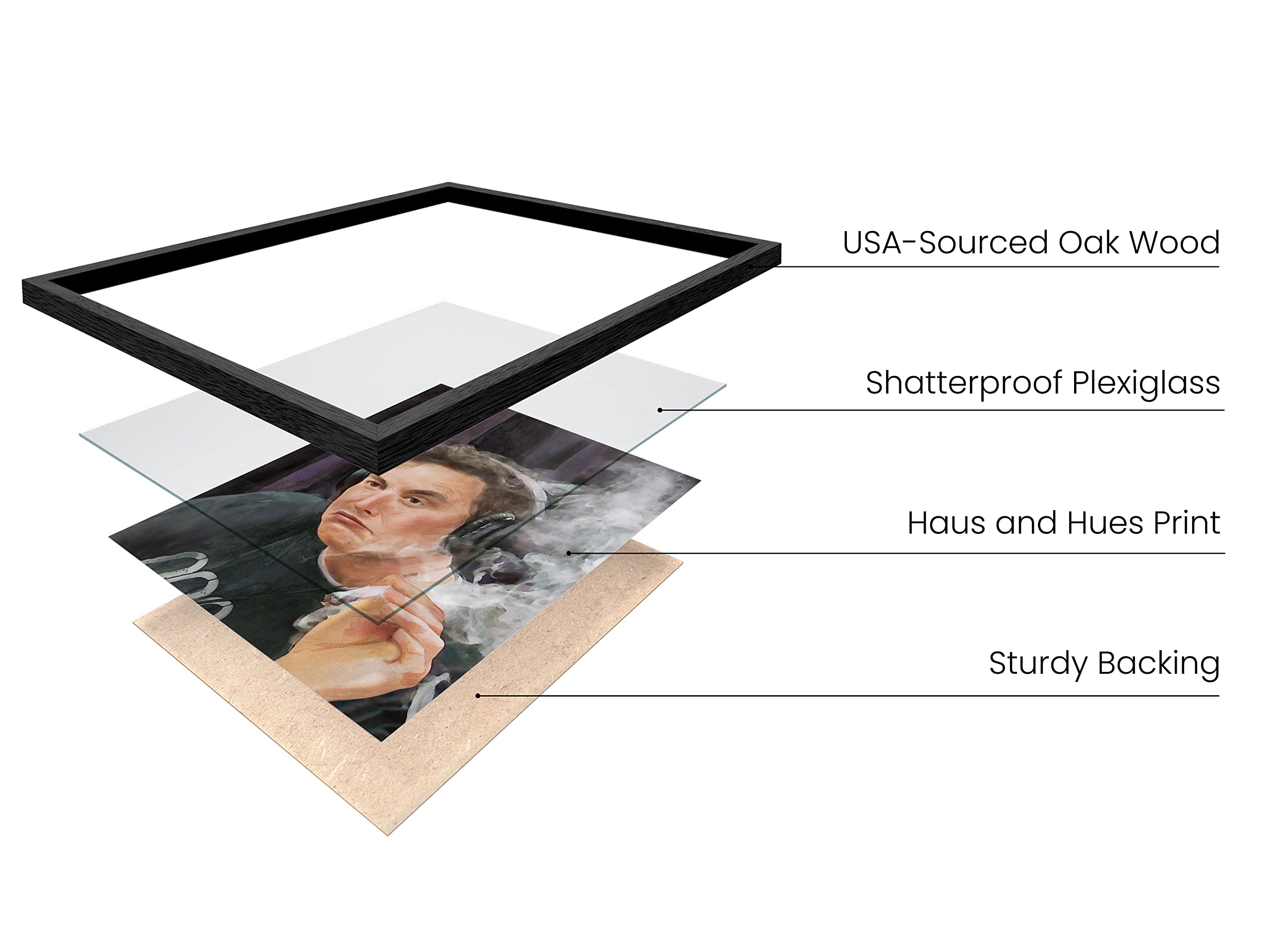 Haus And Hues Elon Musk Posters For College Dorm - Trippy Room Decor And Cool Posters For Guys, Funny College Posters For Guys,