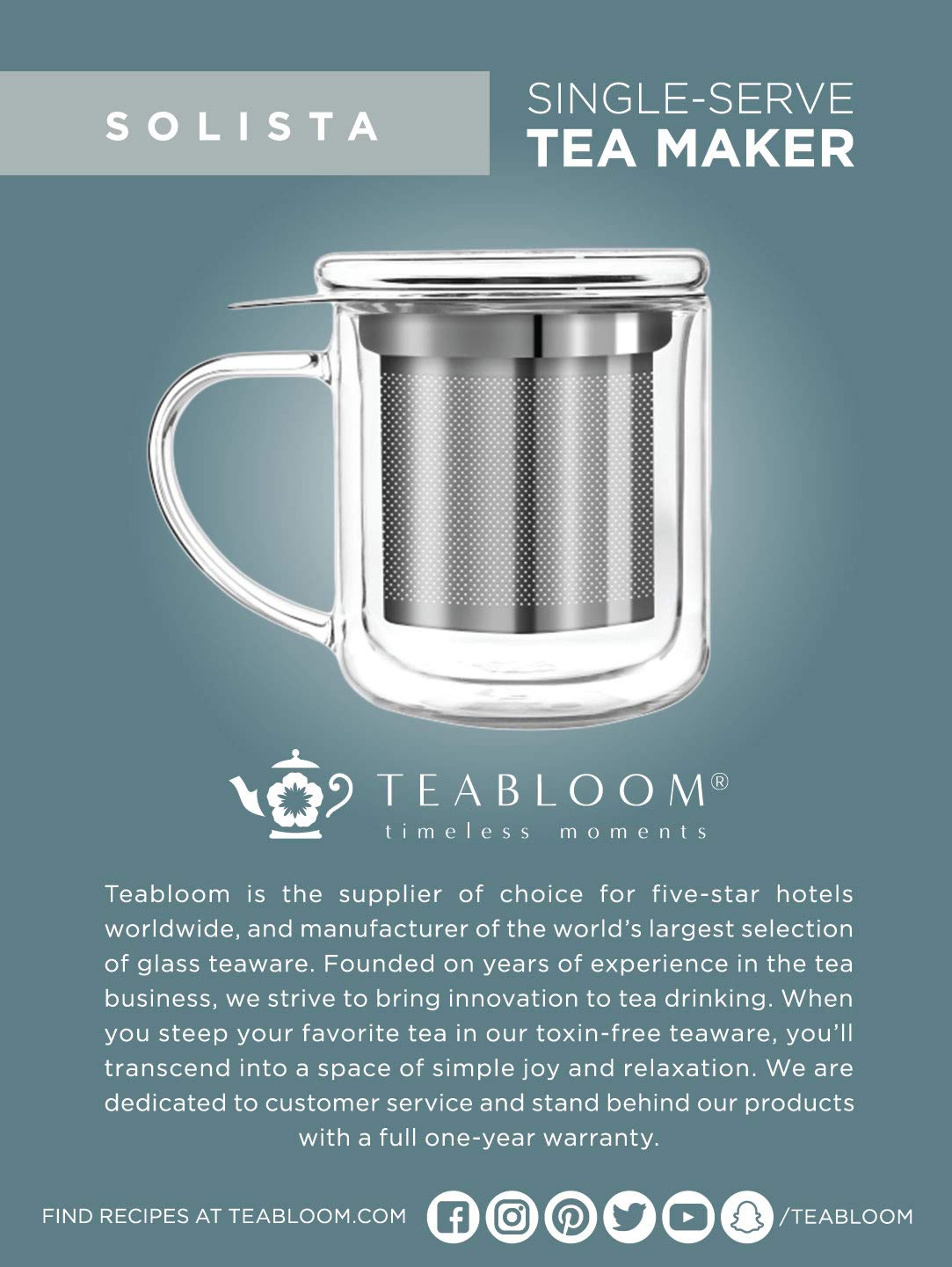 Teabloom Personal Tea Maker - Insulated Heatproof Glass Cup With Loose Tea Infuser And Lid/Coaster - Borosilicate Glass Infusion
