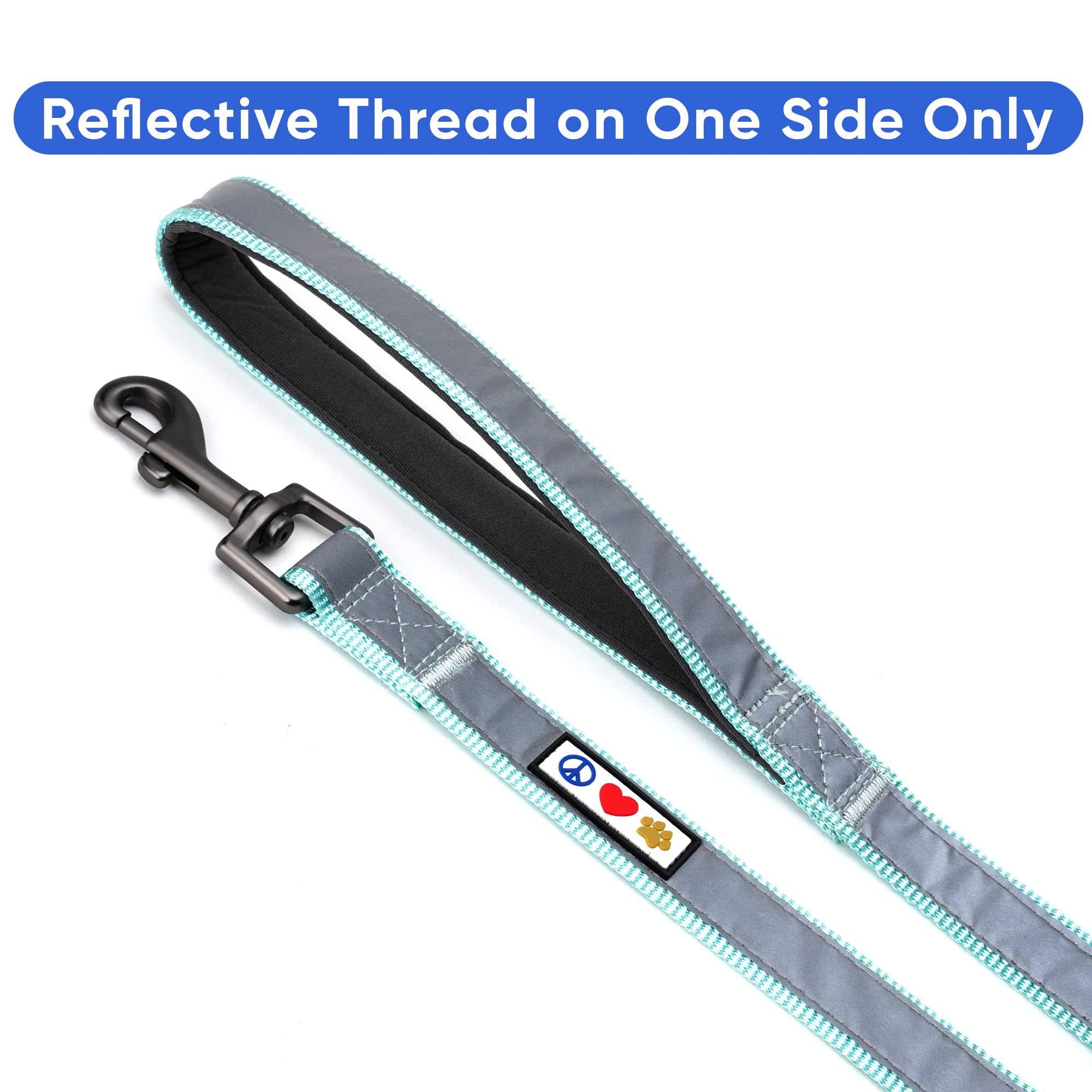 Pawtitas 6 Ft Padded Dog Leash With Comfortable Neoprene Padding Handle - Teal Lead  Small Reflective Dog Leash With Highly Refl