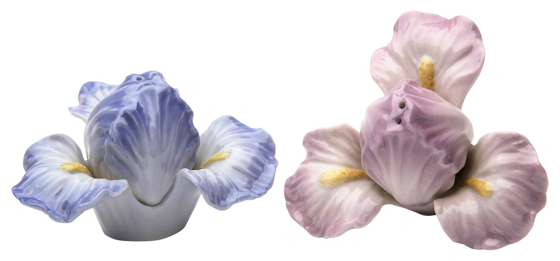 Stealstreet Ss-Cg-20892, 3.25 Inch Blue And Purple Pair Of Iris Salt And Pepper Shaker Set