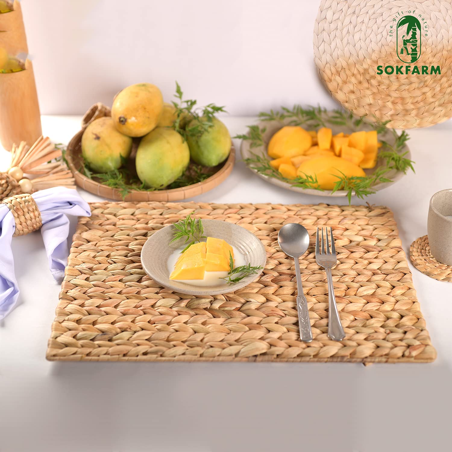 Rectangular Woven Placemats Set Of 10, Natural Water Hyacinth Place Mats, Boho Placemats, Wicker Placemats, Kitchen And Dining T