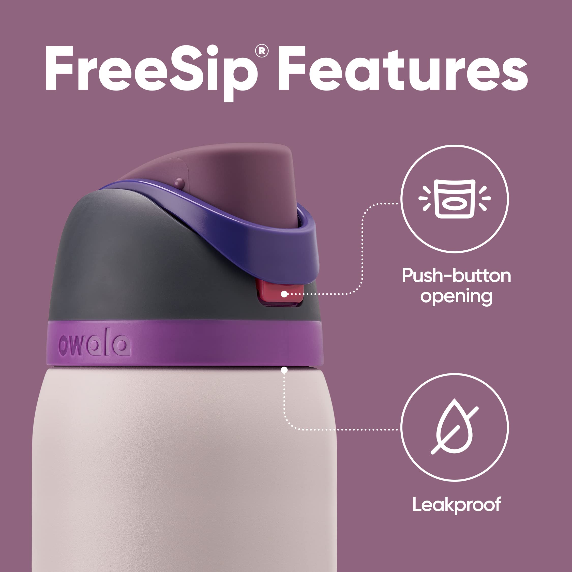 Owala FreeSip 24 oz Insulated Stainless Steel Water Bottle, BPA-Free, Dreamy Field, Model C06156 for Sports and Travel