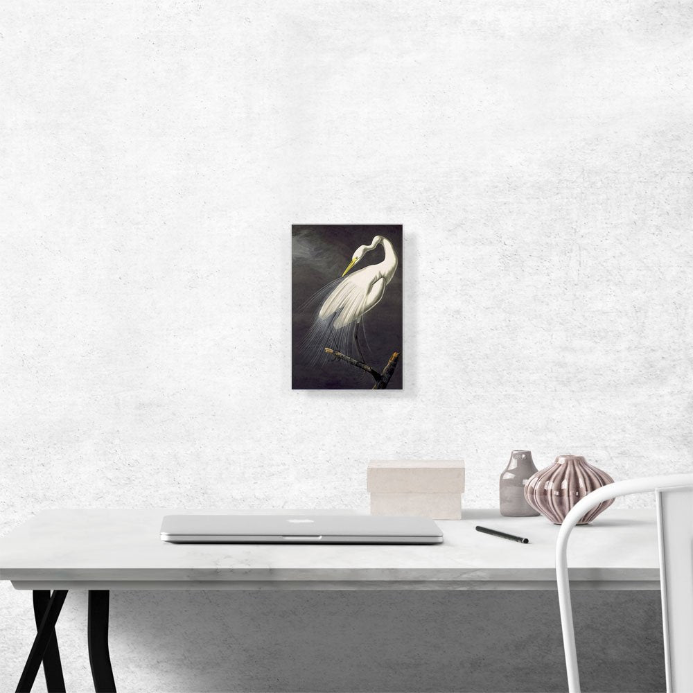 Artcanvas Great Egret Canvas Art Print Stretched Framed Painting Picture Poster Giclee Wall Decor By John James Audubon - 12'' X