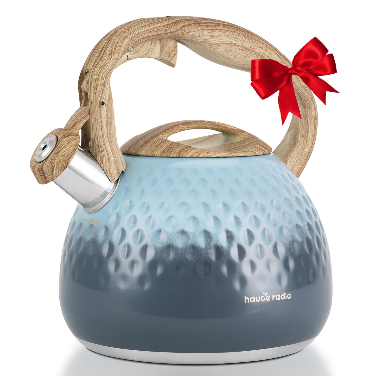 Tea Kettle, Loud Whistle Tea Kettles for Stovetop,Food Grade Stainless Steel Tea kettles for Stove Top with Anti-hot Ergonomic H