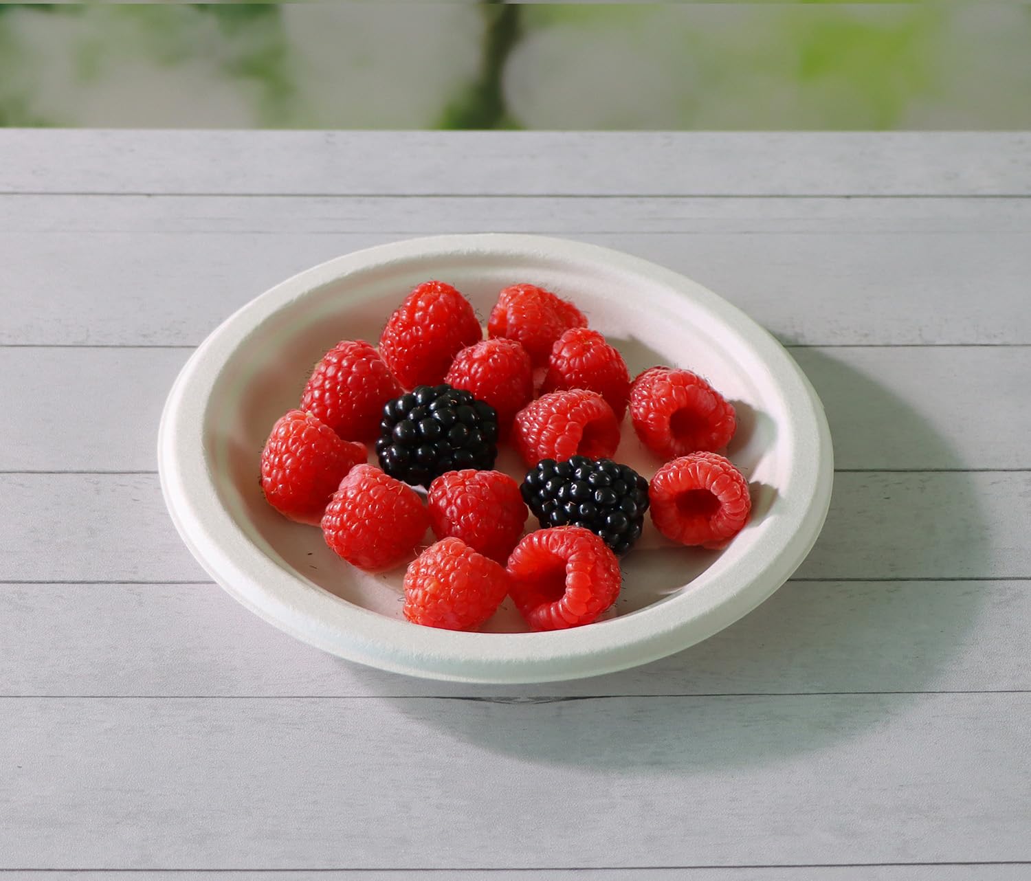 Cantagreen 6 Inch Small Compostable Dessert Plates,100 Count Heavyduty Sugarcane/Bagasse And Bamboo Fibre Biodegradable Disposab