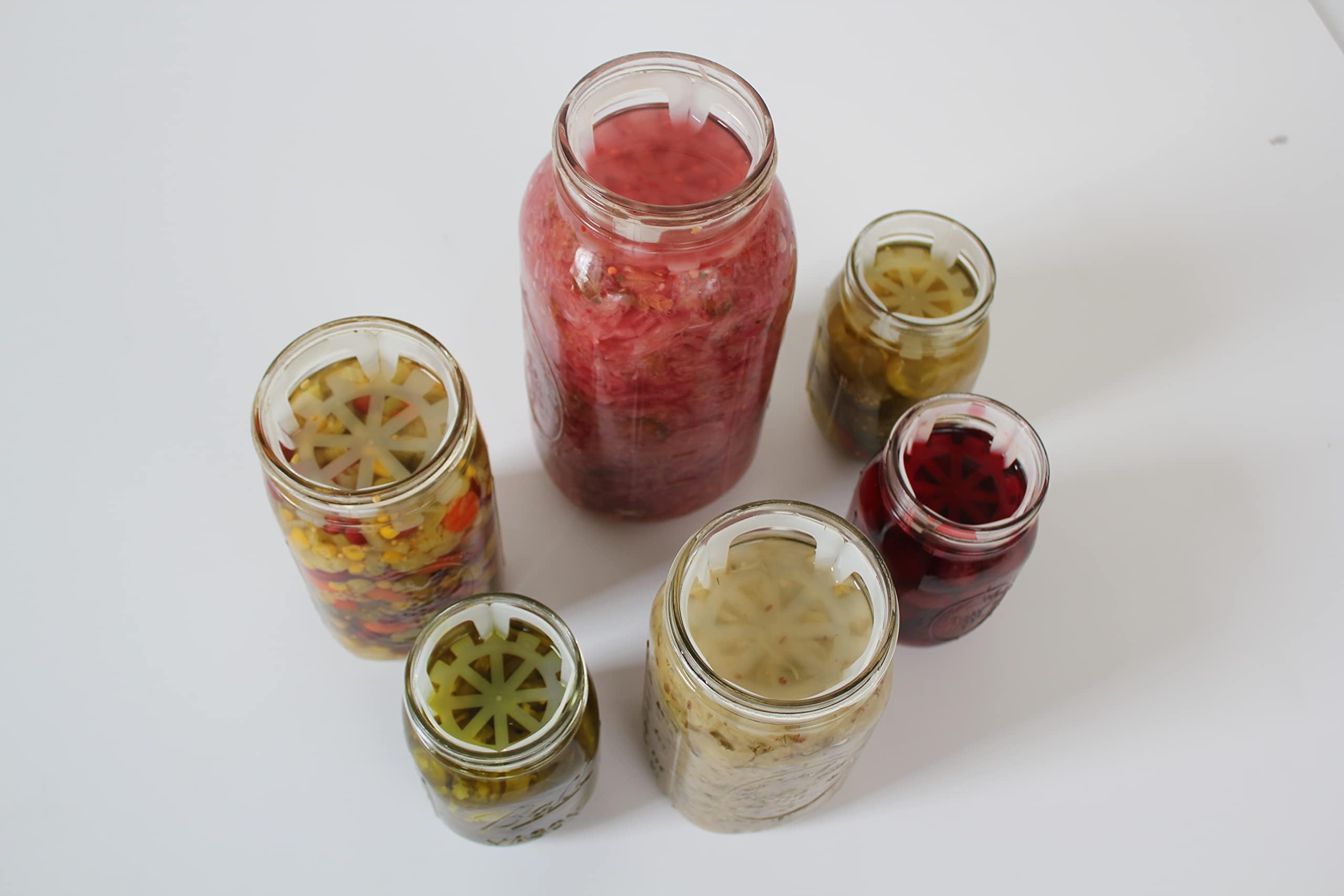 Viscodisc Canning Buddies- Wide Mouth Mason Jar Inserts