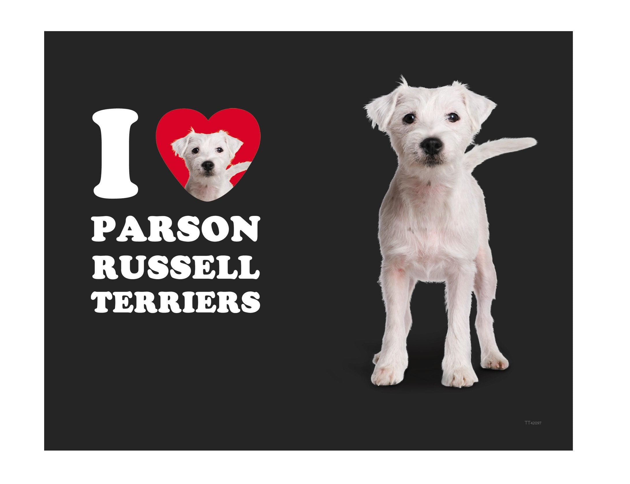 Tree-Free Greetings Tt42097 I Heart Parson Russell Terriers 18-8 Double Wall Stainless Artful Tumbler, 14-Ounce, White