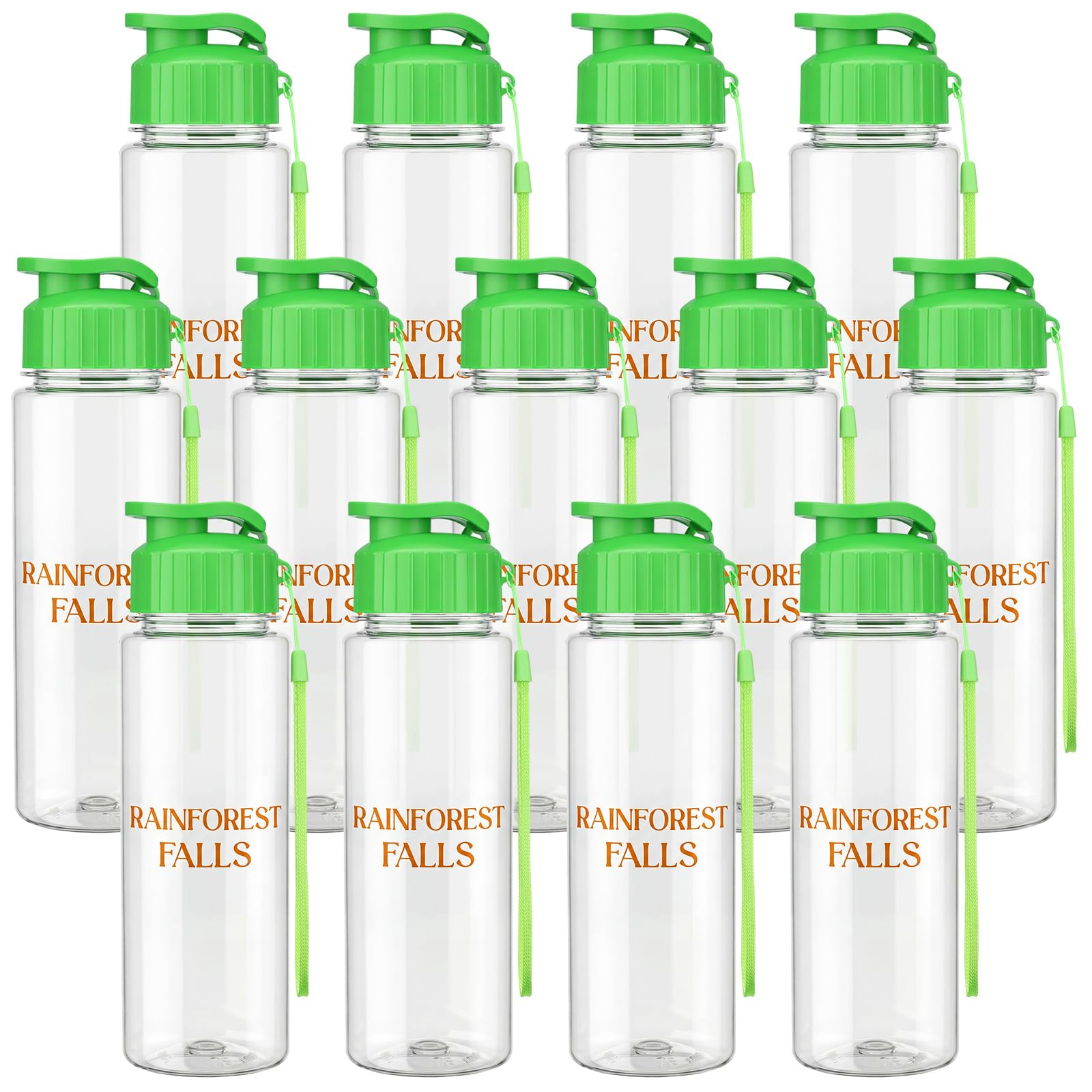 Acellegic 12 Set VBS 2026 Rainforest Falls Themed Plastic Water Bottles and Stickers Kit Water Bottle with Handle Strap Leak Pro