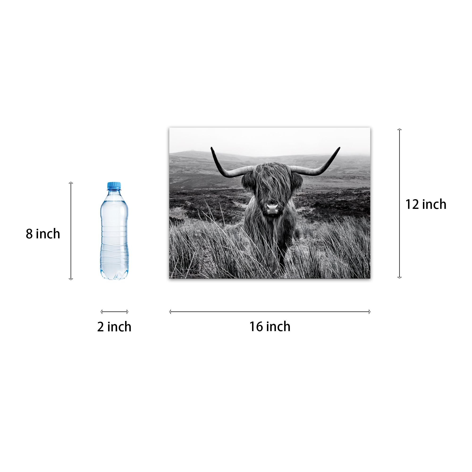 Highland Cow Wall Art Black And White Animal Wall Decor Canvas Cow Picture Highland Cow Prints Paintings Framed For Living Room