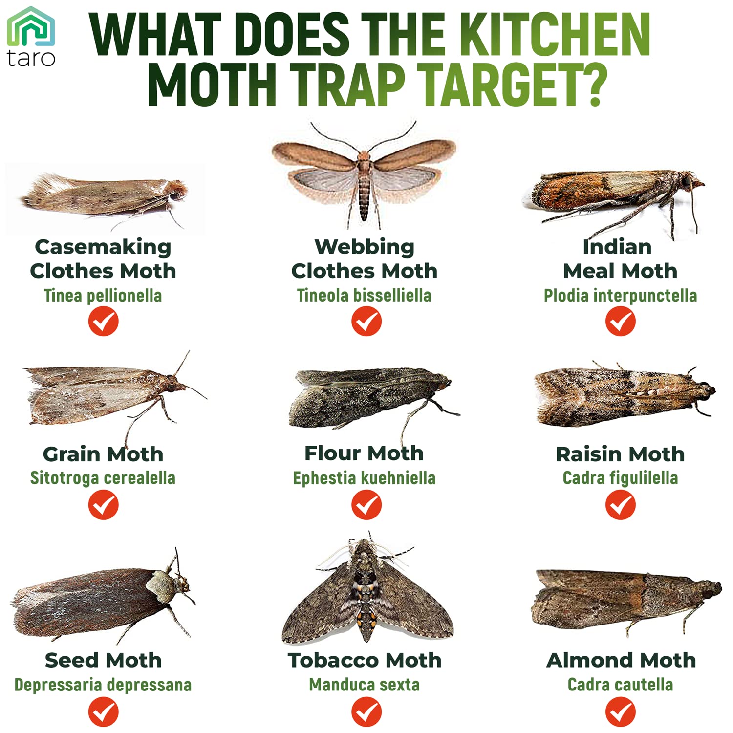 Taro 6-Pack Maximum Strength Pantry Moth Traps, Pantry Moth Killer, Moth Traps For House Pantry, Keep Moth Away With Taro Moth K