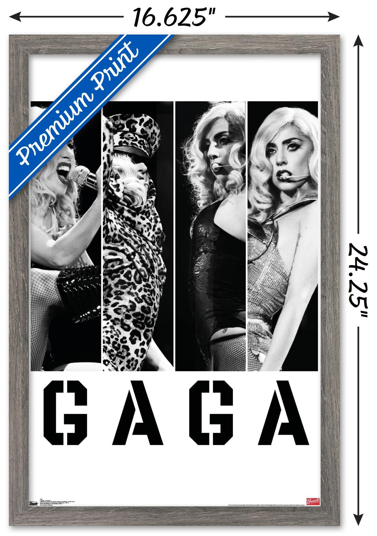 Trends International Lady Gaga - Photo Bars Wall Poster, 14.725'' X 22.375'', Barnwood Framed Version