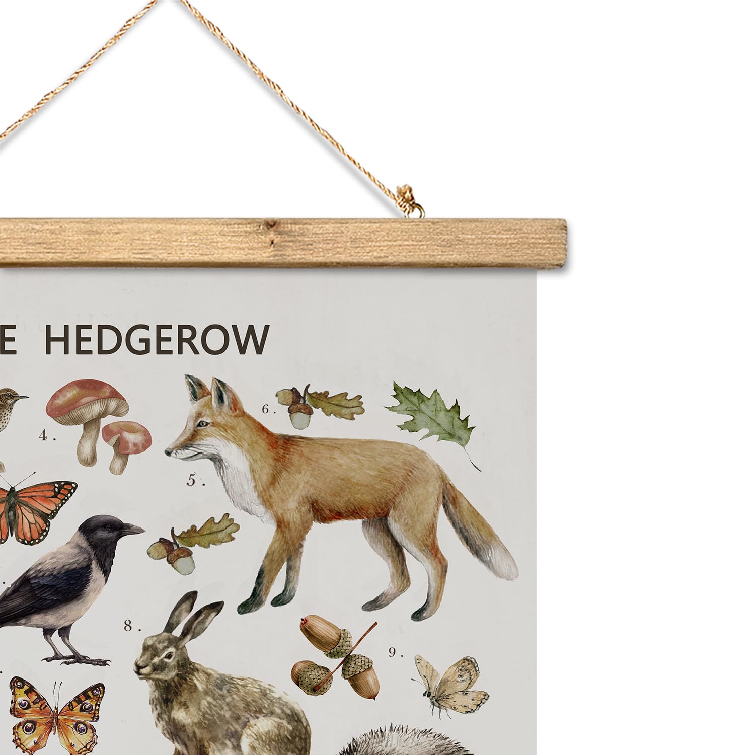 Xiaoaika British Hedgerow Wildlife Educational Poster - Illustrated Nature Chart With Wooden Frame - Countryside Animals And Pla