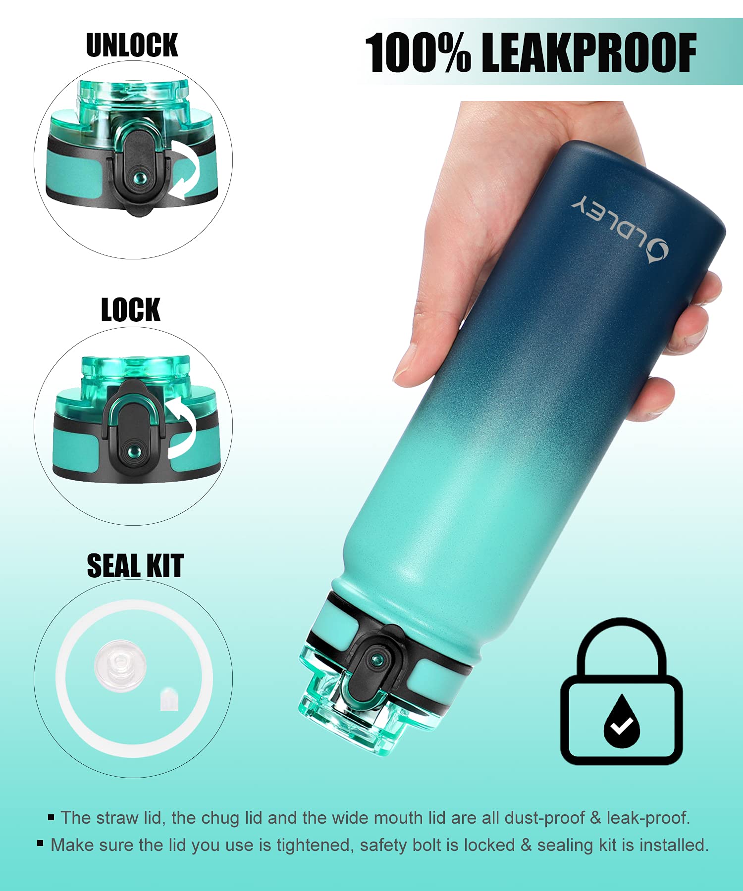 Oldley Insulated Water Bottle 20Oz For Adults Kids Stainless Steel Water Bottles With Straw/Chug/Carabiner 3 Lids Fruit Strainer