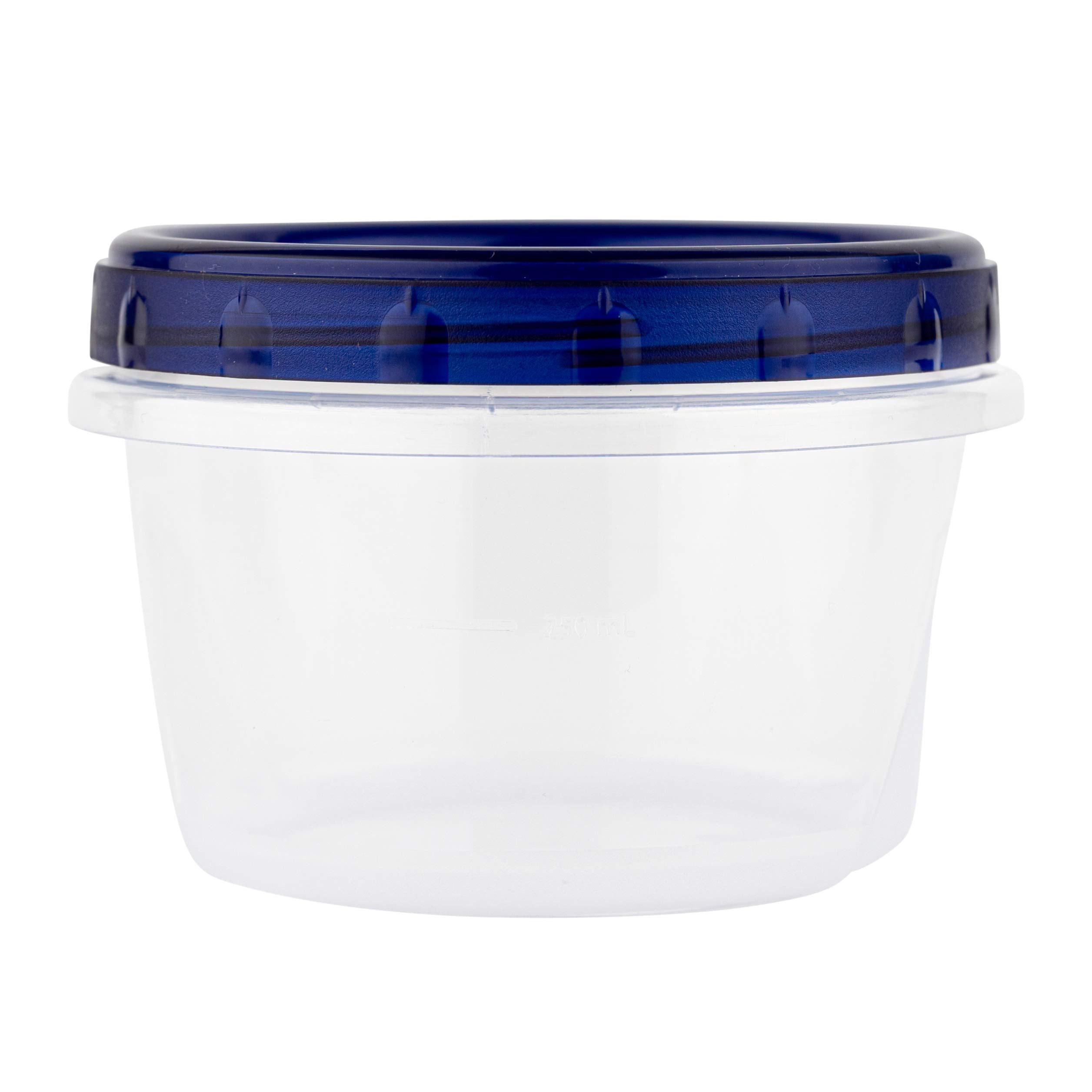 PLASTICPRO [4 oz 144 Pack] Twist Top Deli Containers Clear bottom With blue Top Twist on Lids Reusable  Stackable  Food Storage Freezer Container Pack of 144