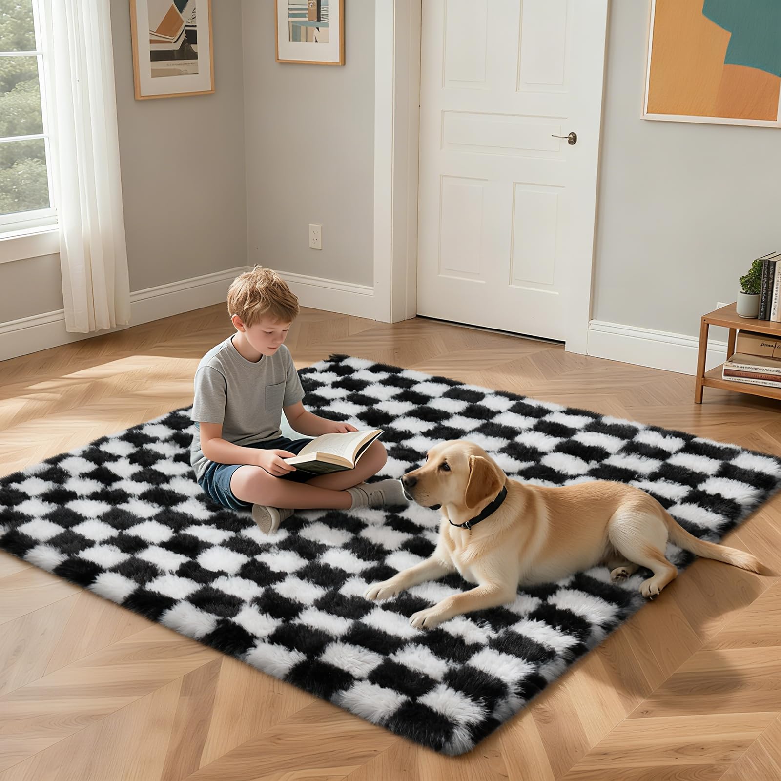 Checkered Rug for Bedroom, 4x6 Black and White Area Rugs, Classic Checkered Carpets Shaggy Area Rug, Bedside Rugs for Living Roo