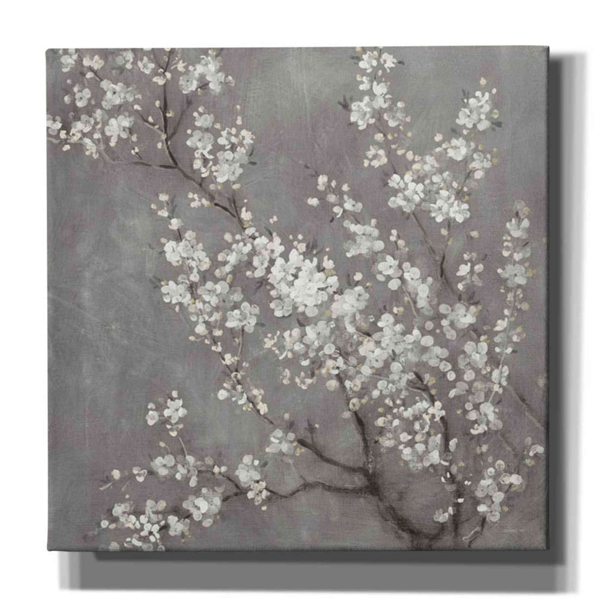 Epic Graffiti 'White Cherry Blossom Ii On Grey' By Danhui Nai, Canvas Wall Art, 26''X26''