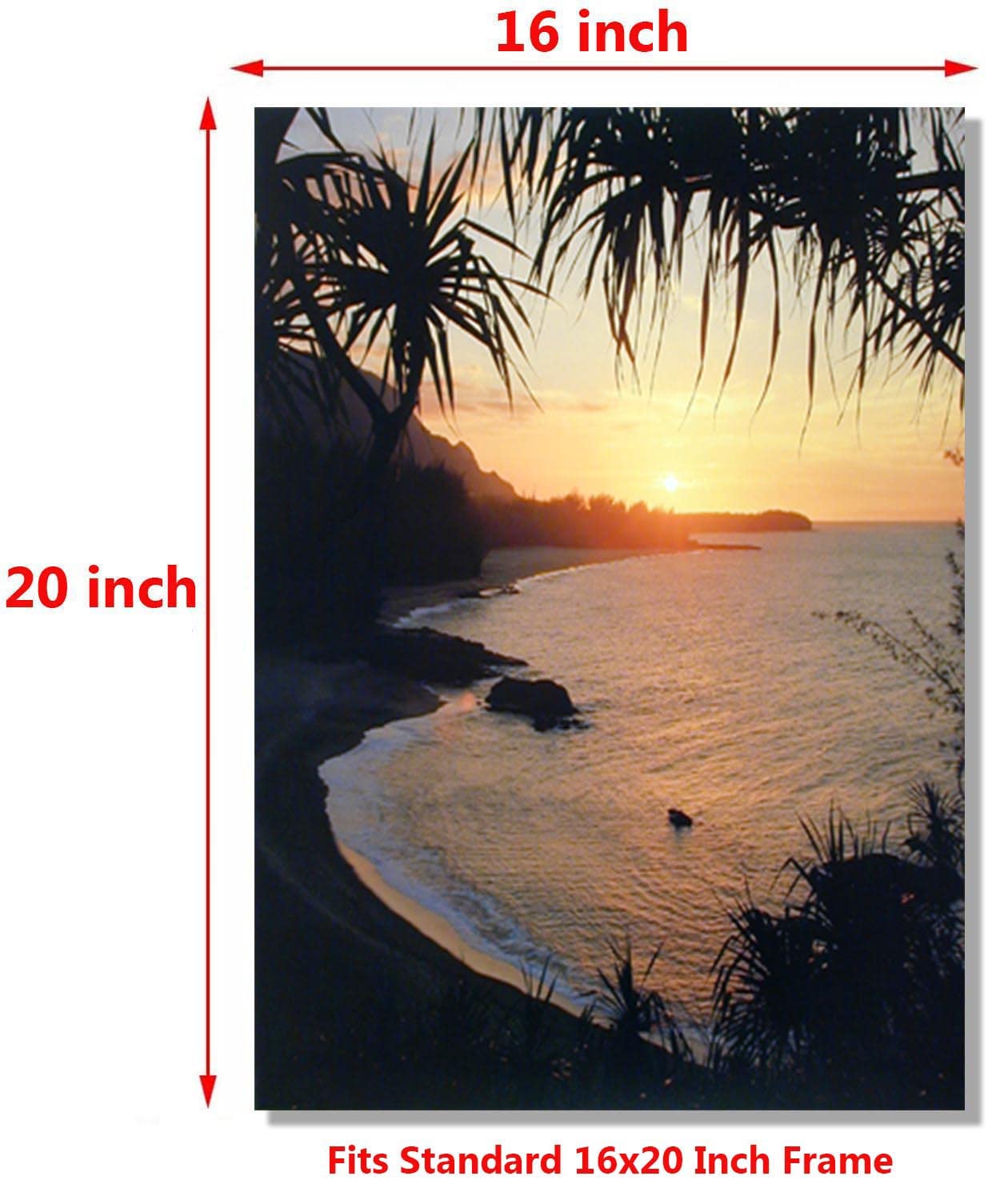 Tropical Sunset At Ocean Beach Scenery Wall Decor Art Print Poster (16X20)