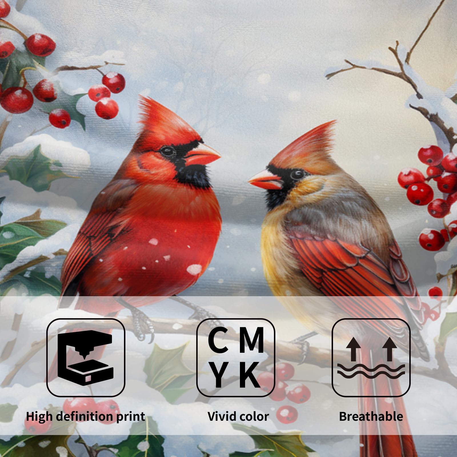 Winter Red Bird Hand Towels Pack Of 2 Sweet Couple Cardinal Fingertip Towels Birds Holly Berry Branches Snow Christmas Holiday B