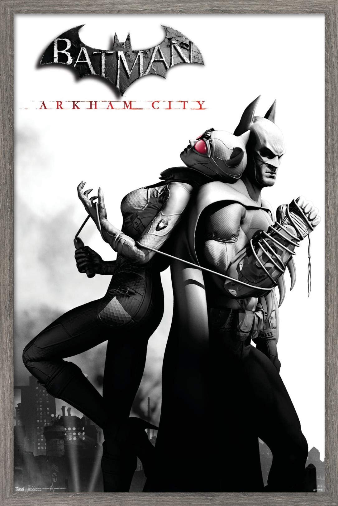 Trends International Dc Comics Video Game - Arkham City - Catwoman Wall Poster, 14.725'' X 22.375'', Barnwood Framed Version