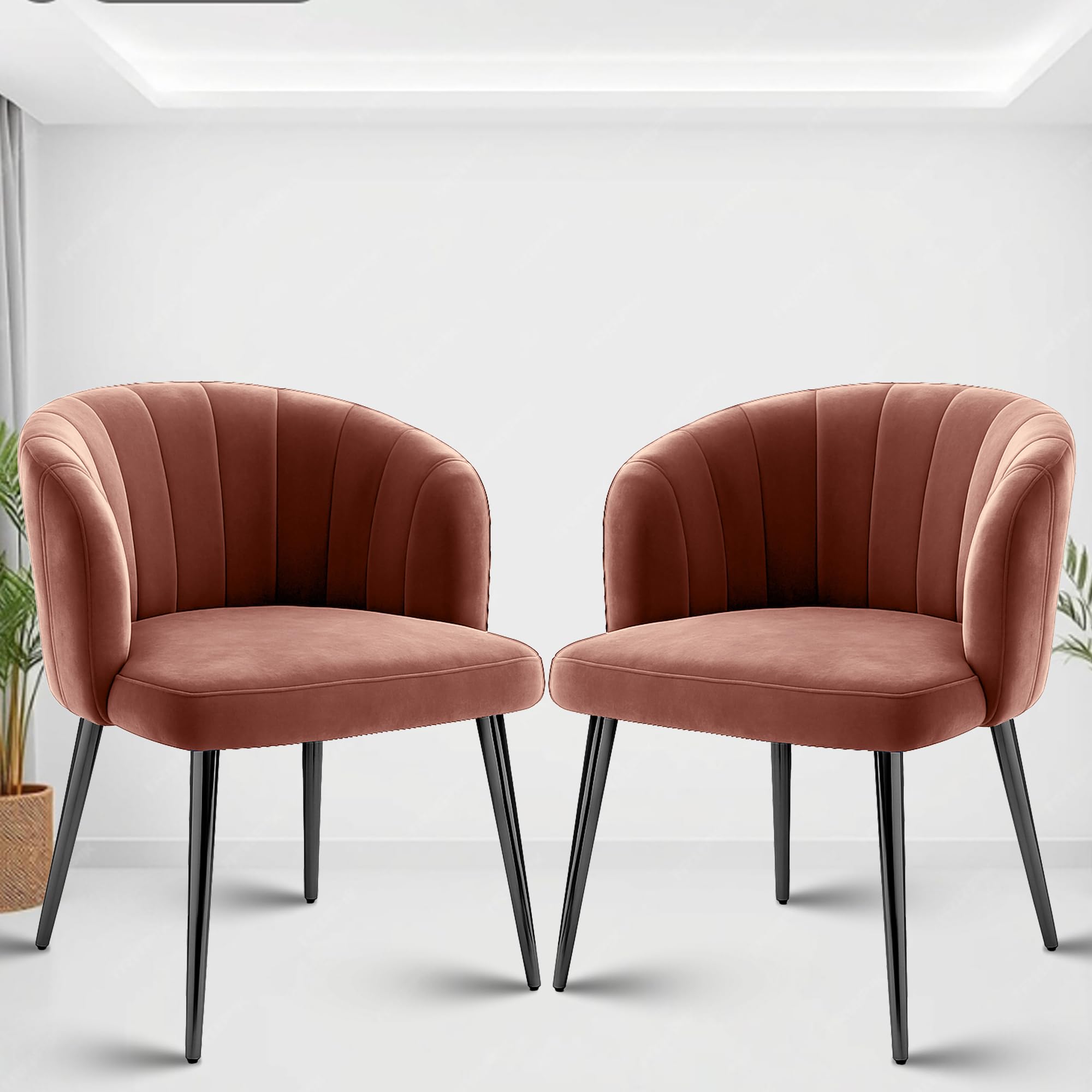 Rose Fire Cafe Chair | Kitchen | Breakfast | Living Room | Modern Velvet Dining Chair | Restaurants Chairs (2, Coral Pink, Plain