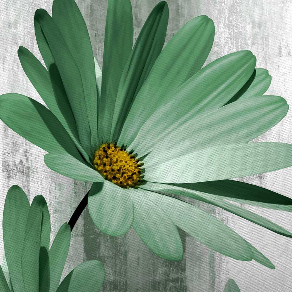 Rustic Farmhouse Shower Curtain, Farm Sage Green Daisy Floral Flowers And Butterfly On Country Wooden Shower Curtain For Bathroo