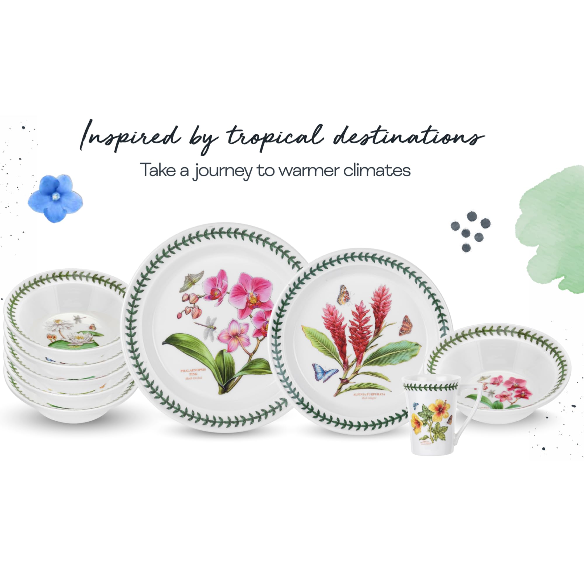 Portmeirion Exotic Botanic Garden 10.5-Inch Dinner Plate, Dragonfly - Made In England, Dishwasher & Microwave Safe - Floral Fine