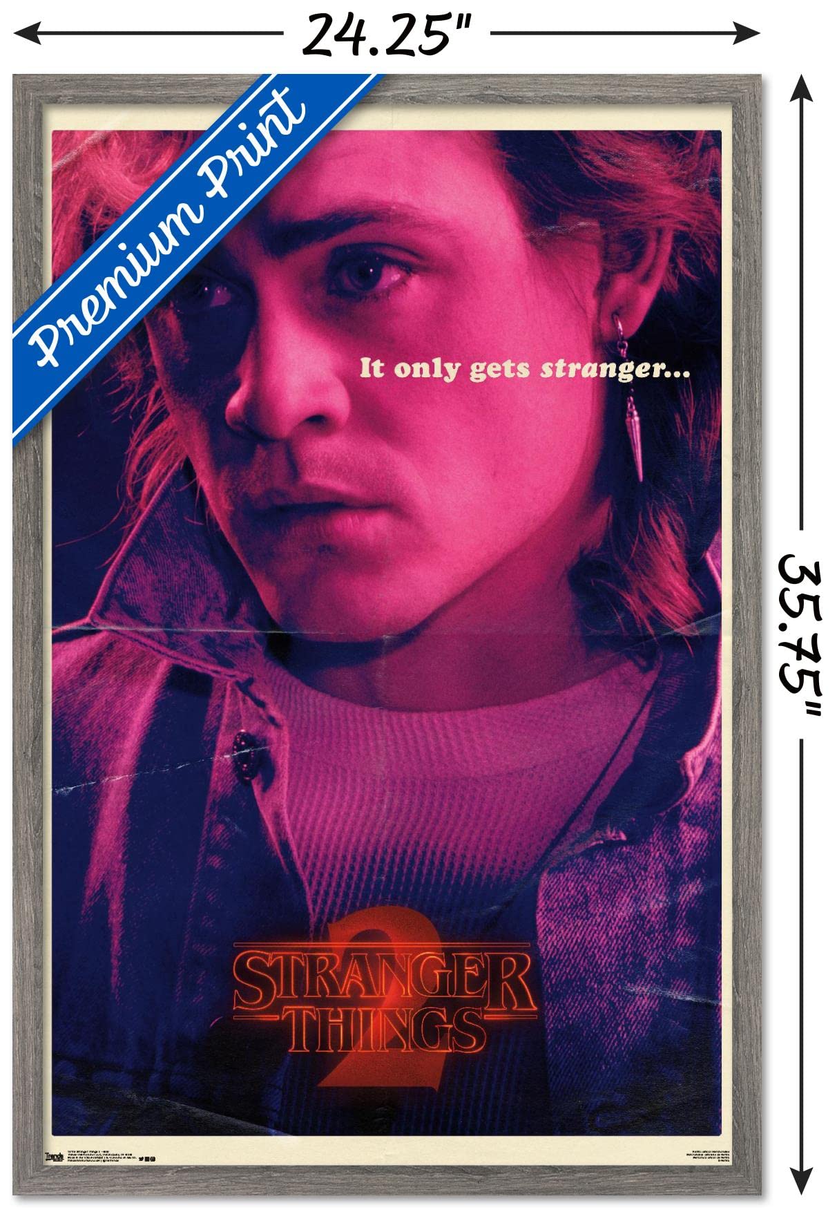Trends International Netflix Stranger Things: Season 2 - Billy Wall Poster, 22.375'' X 34'', Barnwood Framed Version