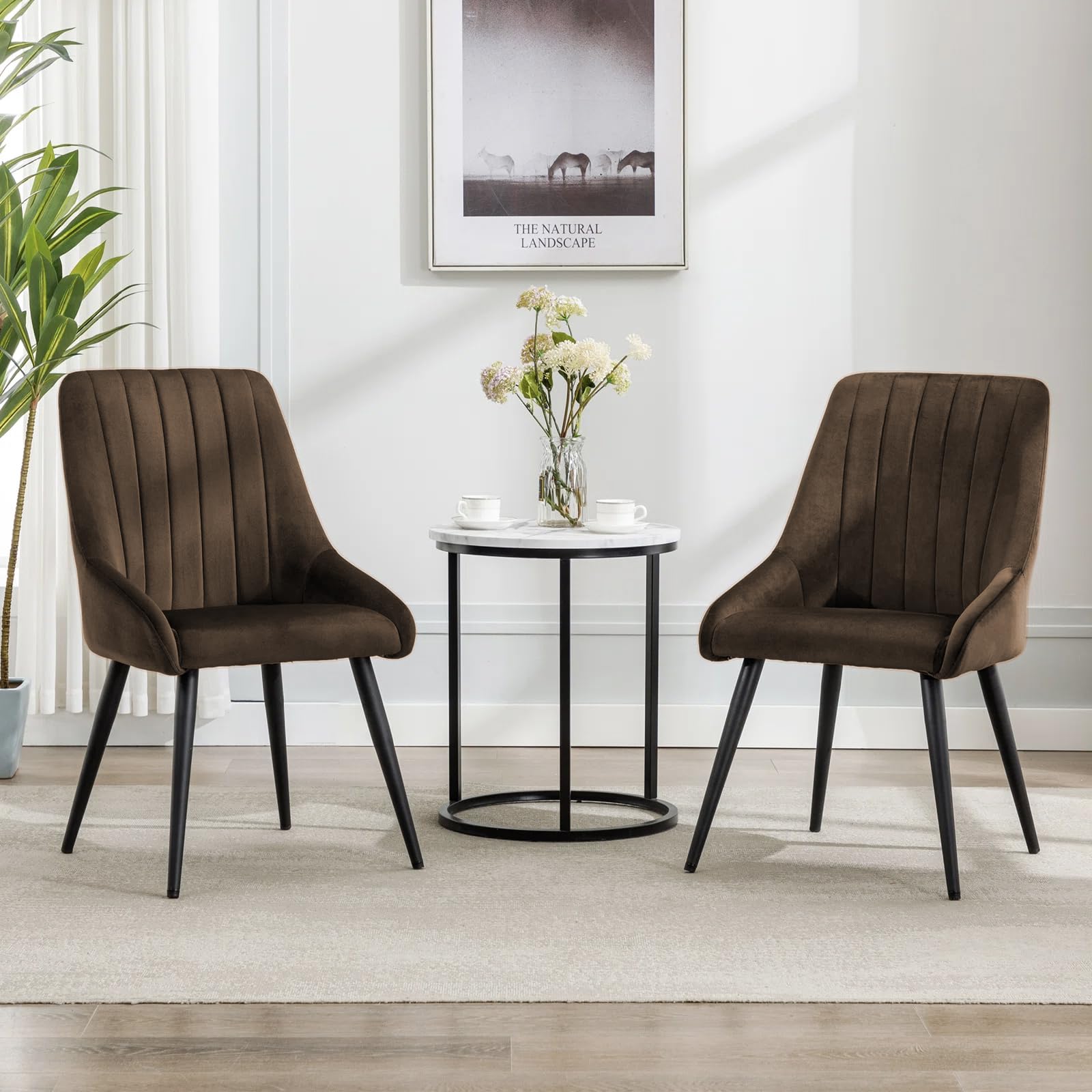 Finch Fox Morris Velvet Dining Chair For Living Room, Bedroom, Home Office With Black Metal Legs In Dark Brown Color (Set Of 2)
