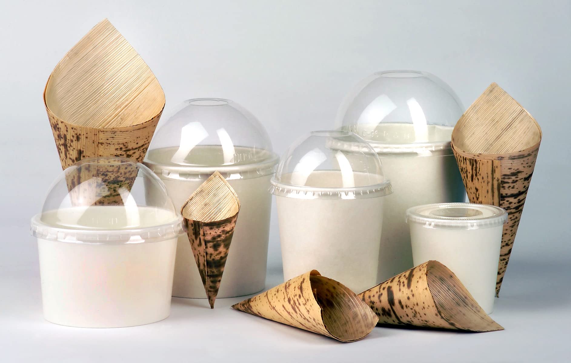 Packnwood 210Bbcob17 Bamboo Leaf Cone 2 Layers (Case Of 1000), Perfect For Catering, 100% Natural & Biodegradable - Disposable B
