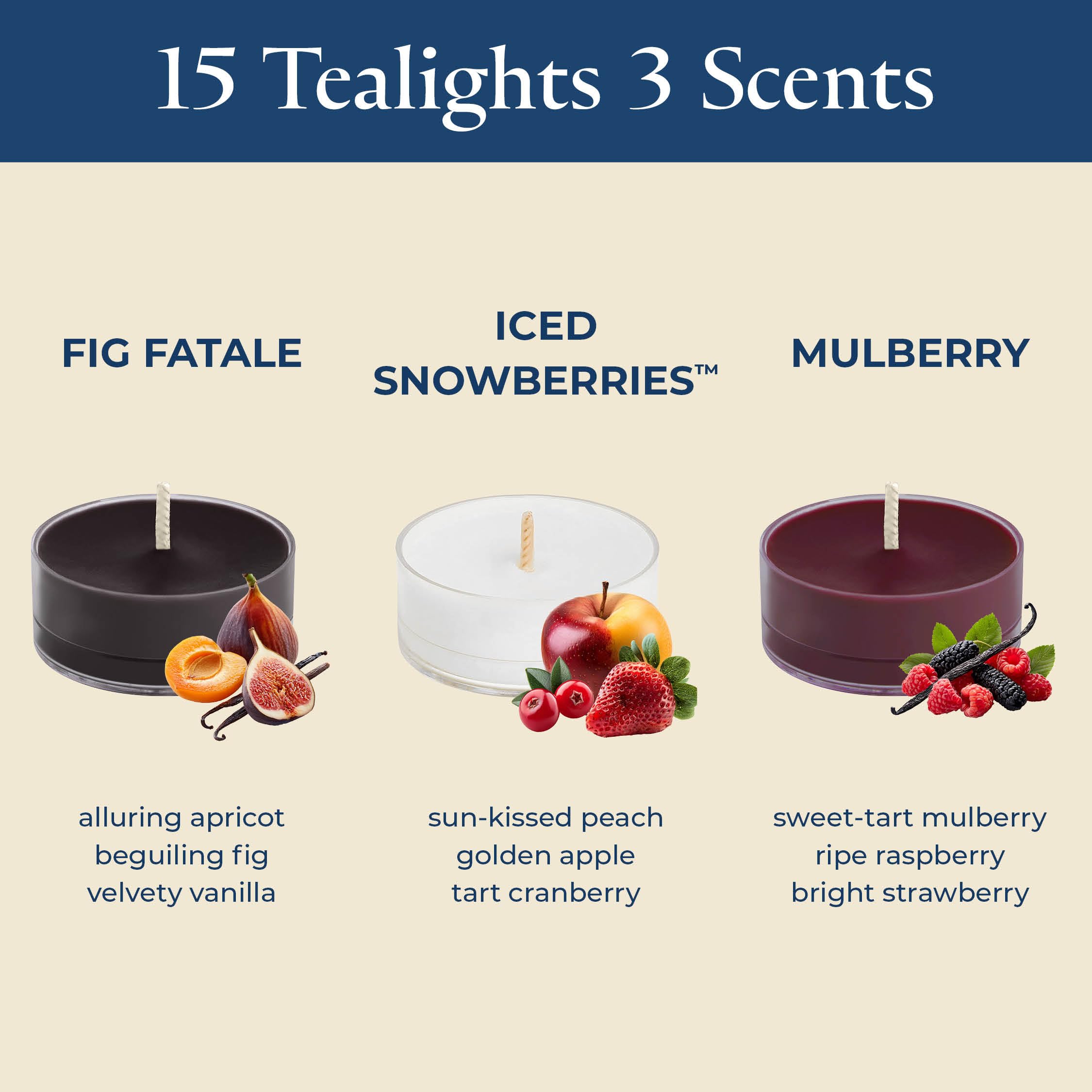 PartyLite Set of 12 Tea Lights Sampler Candles, Aromatherapy You re Fruity Scented Candles Gift Set, Up to 4 to 6 Hours Burn Tim