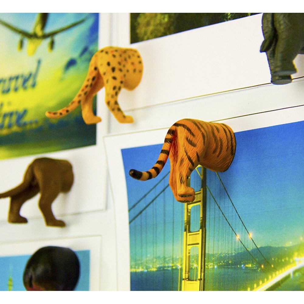Kikkerland Safari Animal Butt Magnets, Set Of 6 (Mg23)