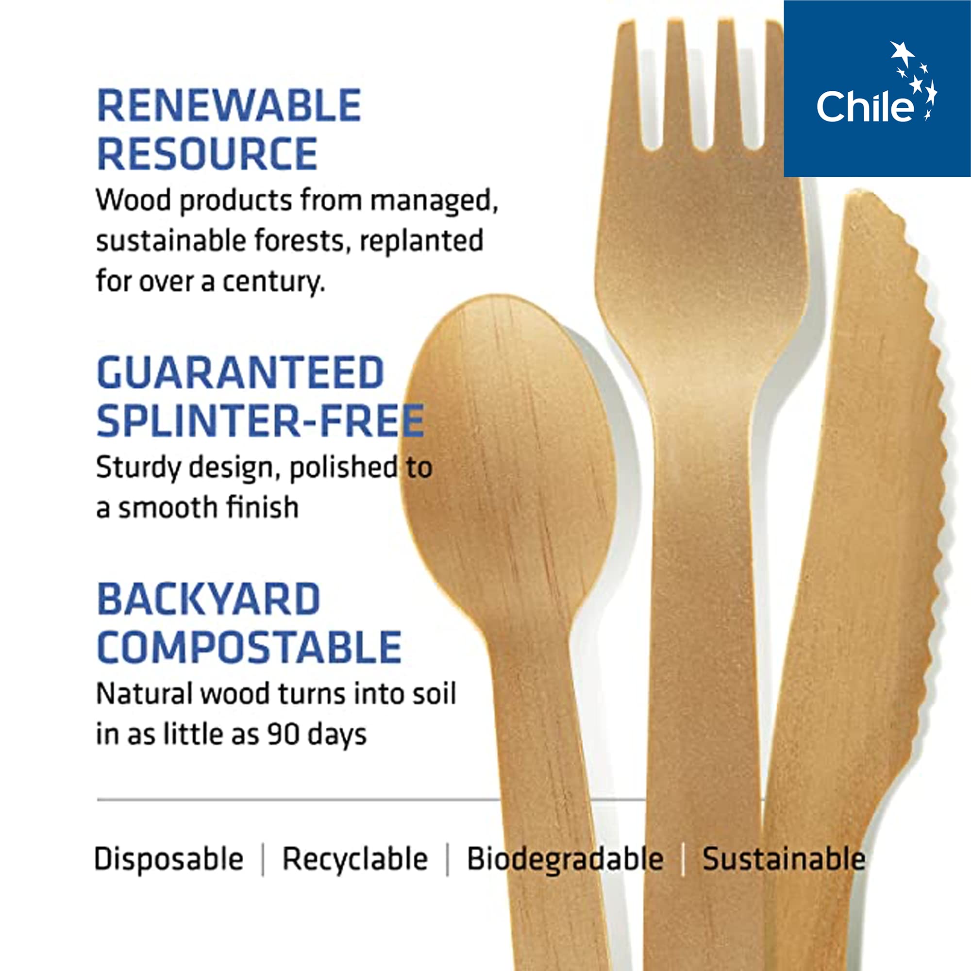 Disposable Wooden Cutlery Set - 100% Home Compostable - 100 Forks 6.5, Bamboo Utensils Alternative, Eco-Friendly, Organic, Sus