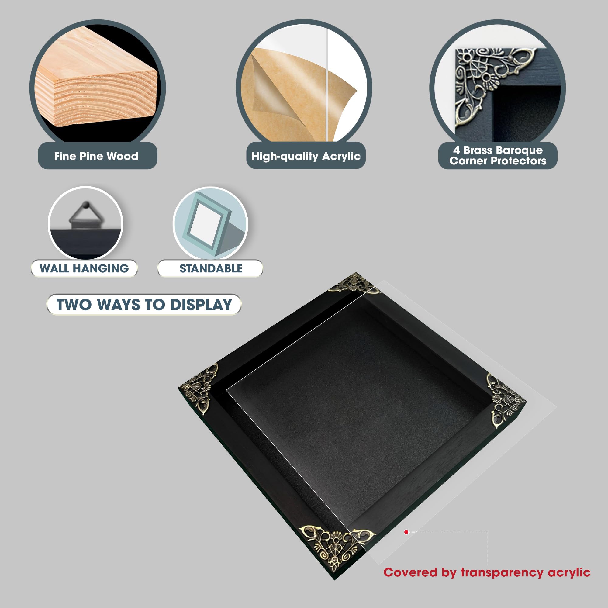 2 Real Green Mantis Lanternfly Frames Dead Insect Dried Bug Shadow Box Wood Oddity Framed Taxidermy Specimen Collectables Decora