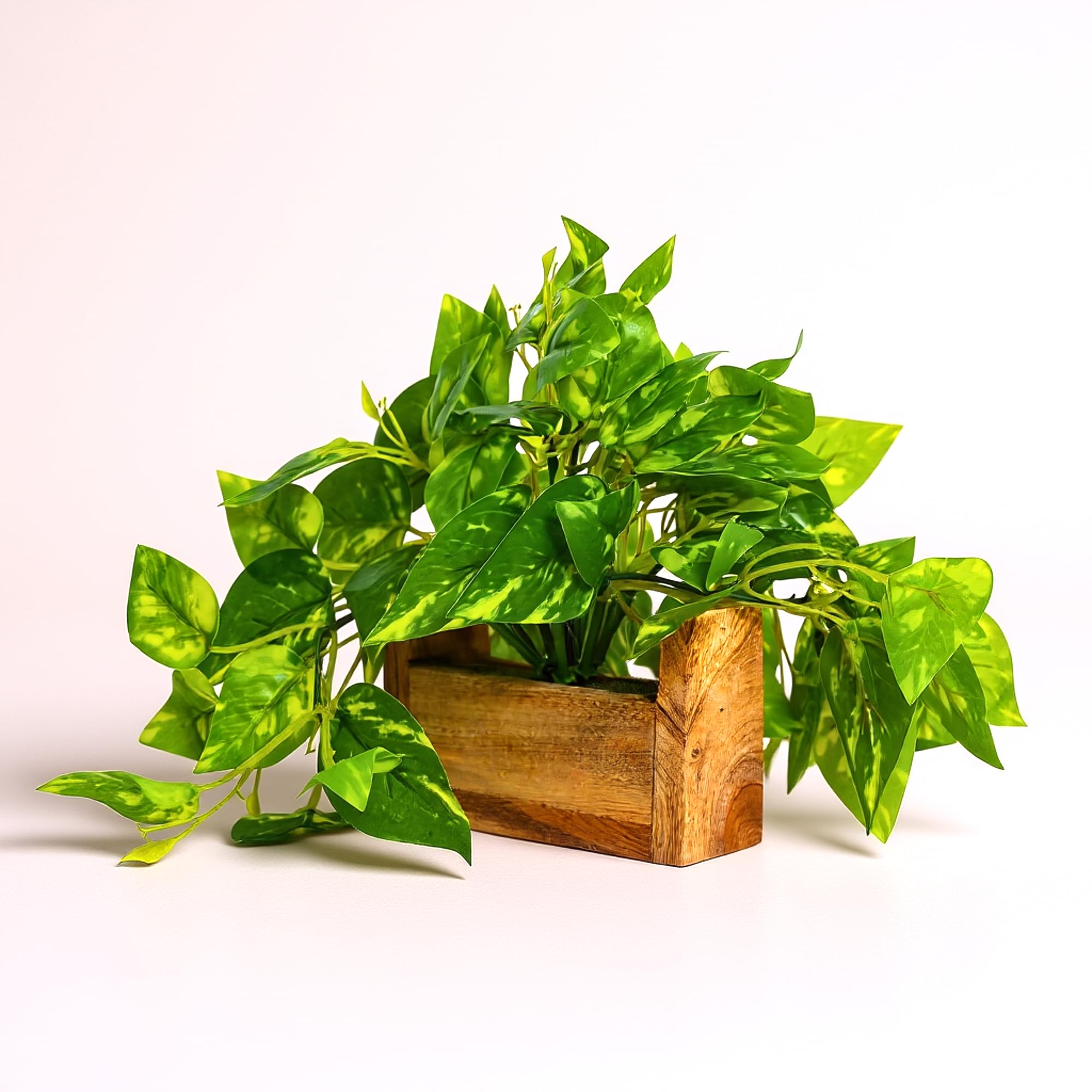 fancymart Artificial Money Plant with Woodlog Pot Home & Office D  cor
