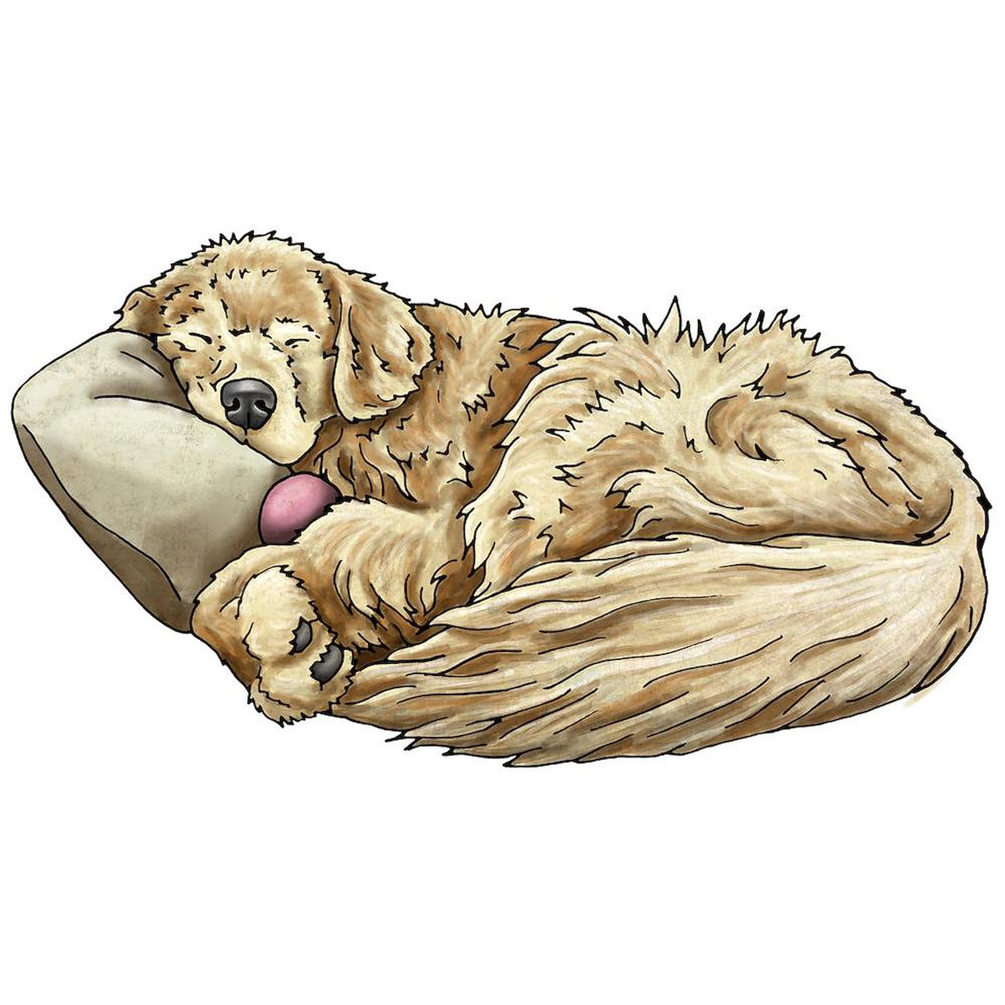 CafePress Sleeping Golden Retriever Mugs 15 oz (444 ml) Ceramic Coffee Mug