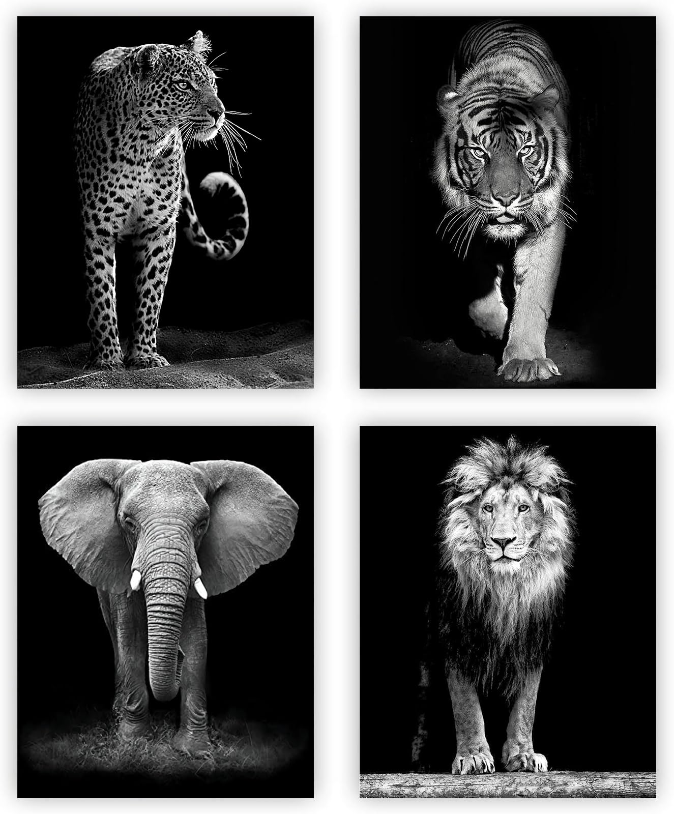 4 Set-Black and White African Wild Animal Photo Wall Art Tiger Lion Elephant  Leopard Picture Canvas Wall Poster Printing Brave Inspirational Wall Art For Bedroom Living Room Decor(8''x 10''Unframed)