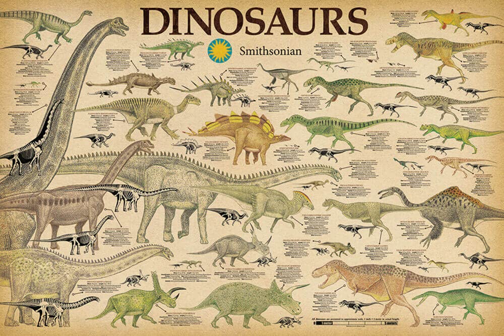 Studio B Dinosaurs - By Smithsonian - Laminated Poster - 36.5'' X 24.5''
