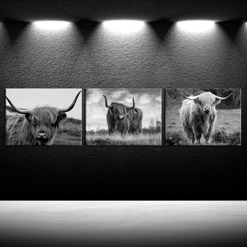 iKNOW FOTO Canvas Print Wall Art Black and White Freedom Highland Cow Pictures Painting for Living Room Bedroom Modern Home Decor Ready to Hang Stretched and Framed Artwork 12x16inchx3pcs